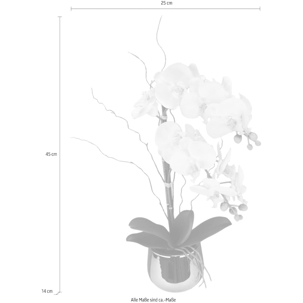 I.GE.A. Kunstpflanze »Phalaenopsis im Topf«