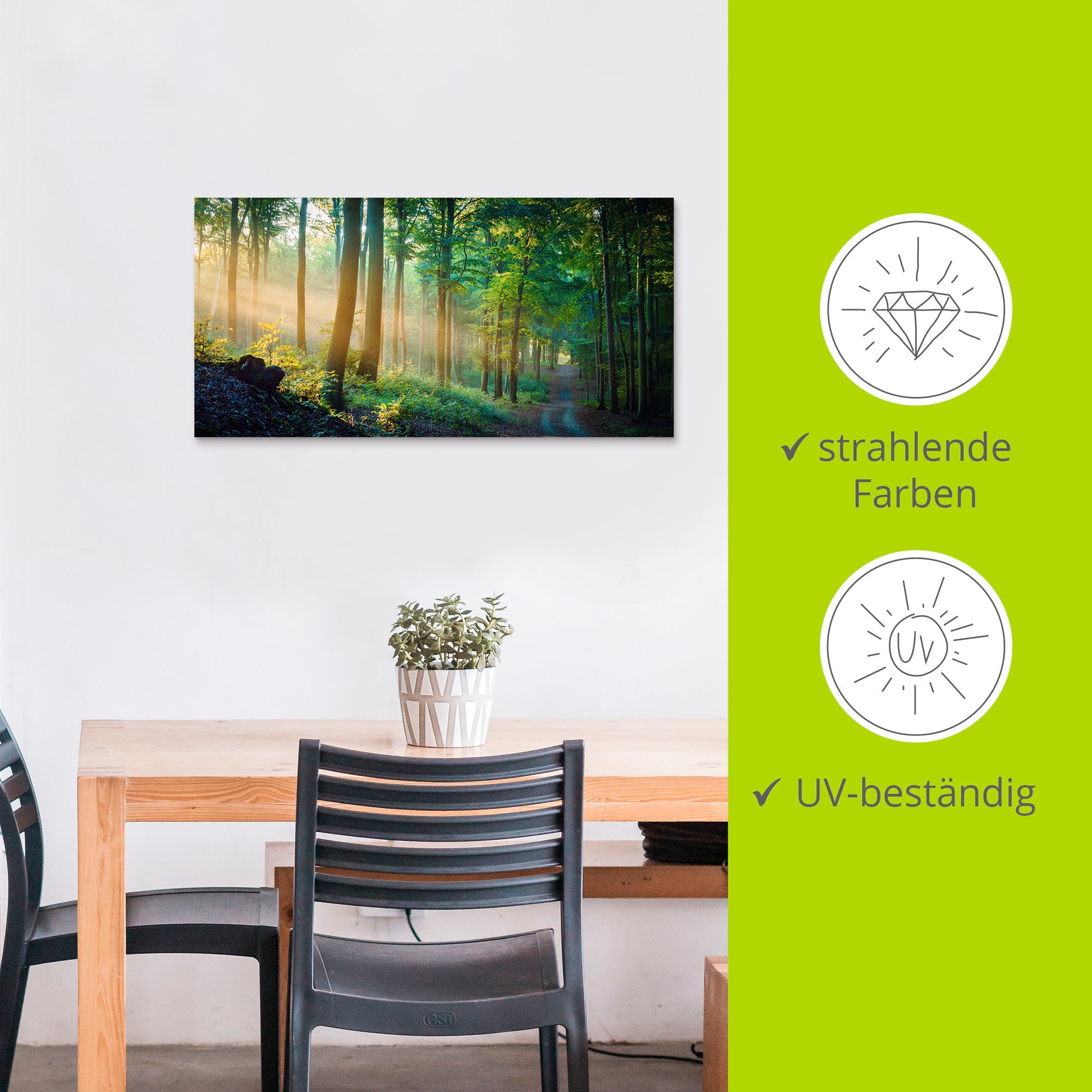 Artland Alu-Dibond-Druck »Herbstmorgen im Wald« Waldbilder 1 Stk. tlg. als Alubild, Outdoorbild, Leinwandbild, Poster in verschied. Größen