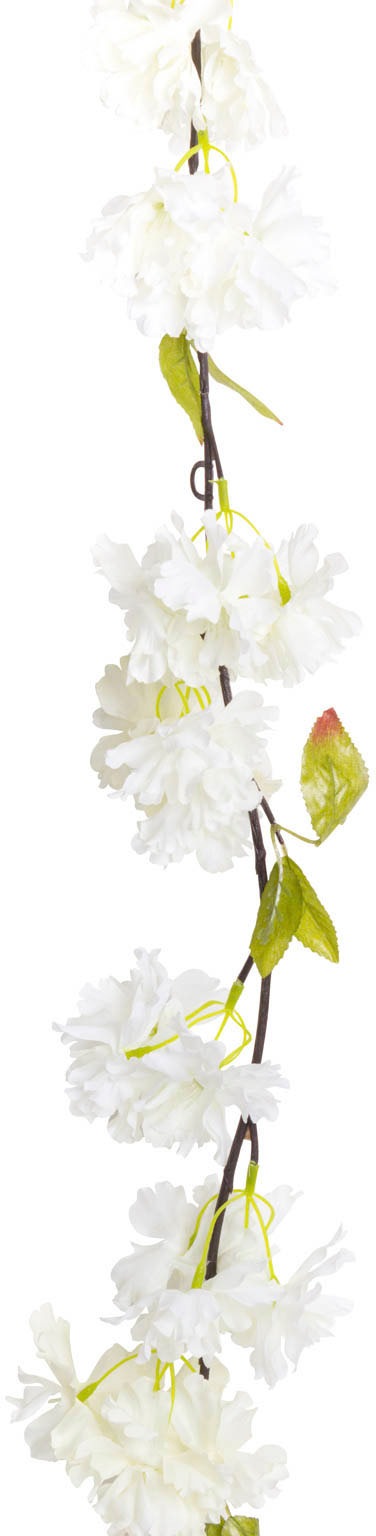 kaufen Raten »Kirschblütengirlande« auf Kunstblume Botanic-Haus