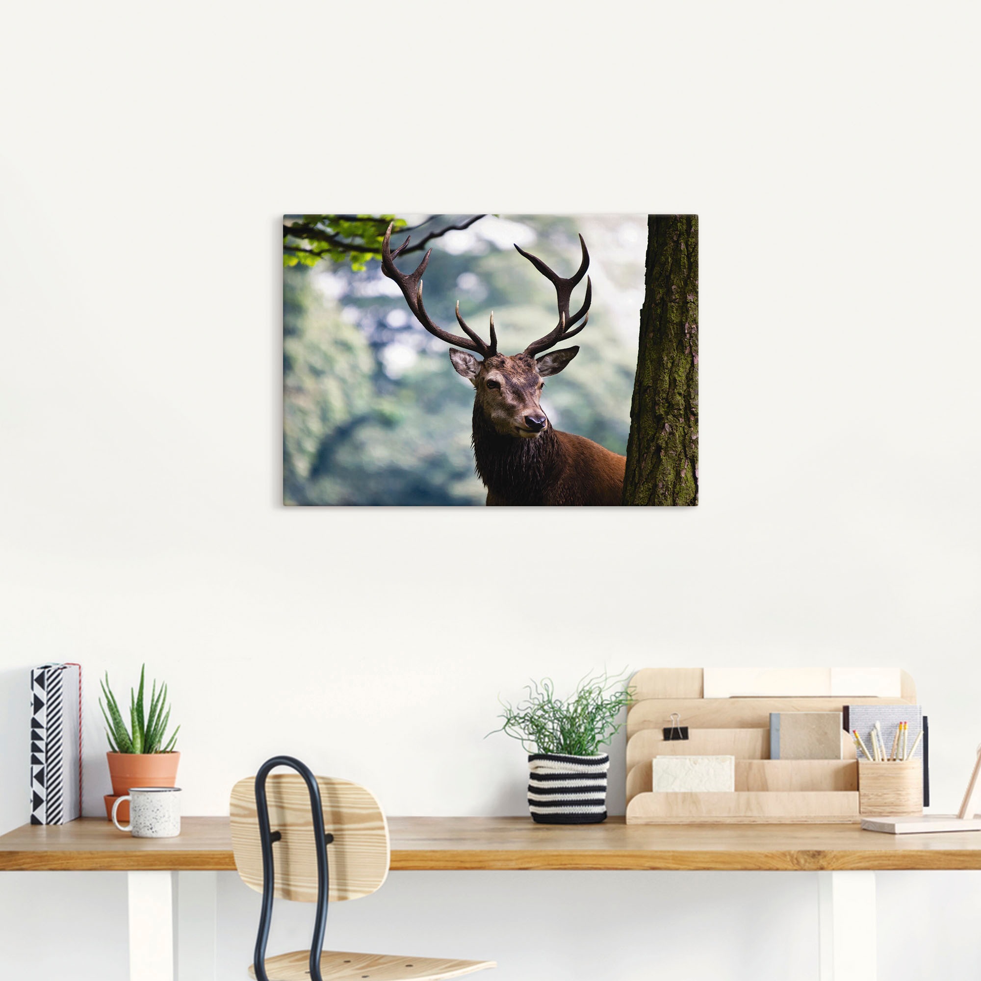 Artland Wandbild »Hirsch«, Wildtiere, (1 St.), als Alubild, Outdoorbild, Leinwandbild, Poster in verschied. Größen