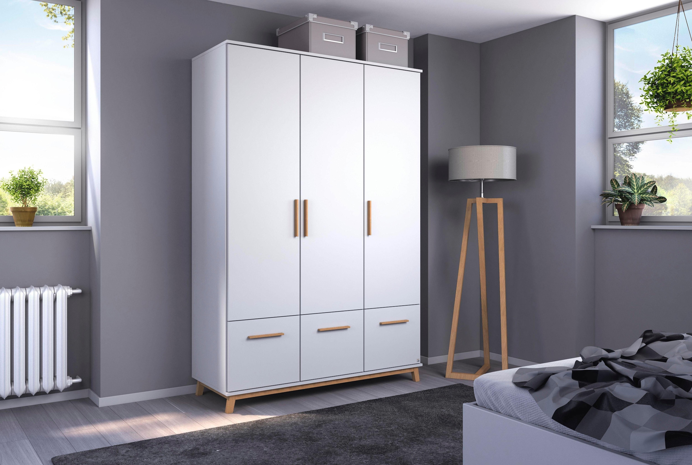rauch Drehtürenschrank »Carlsson«