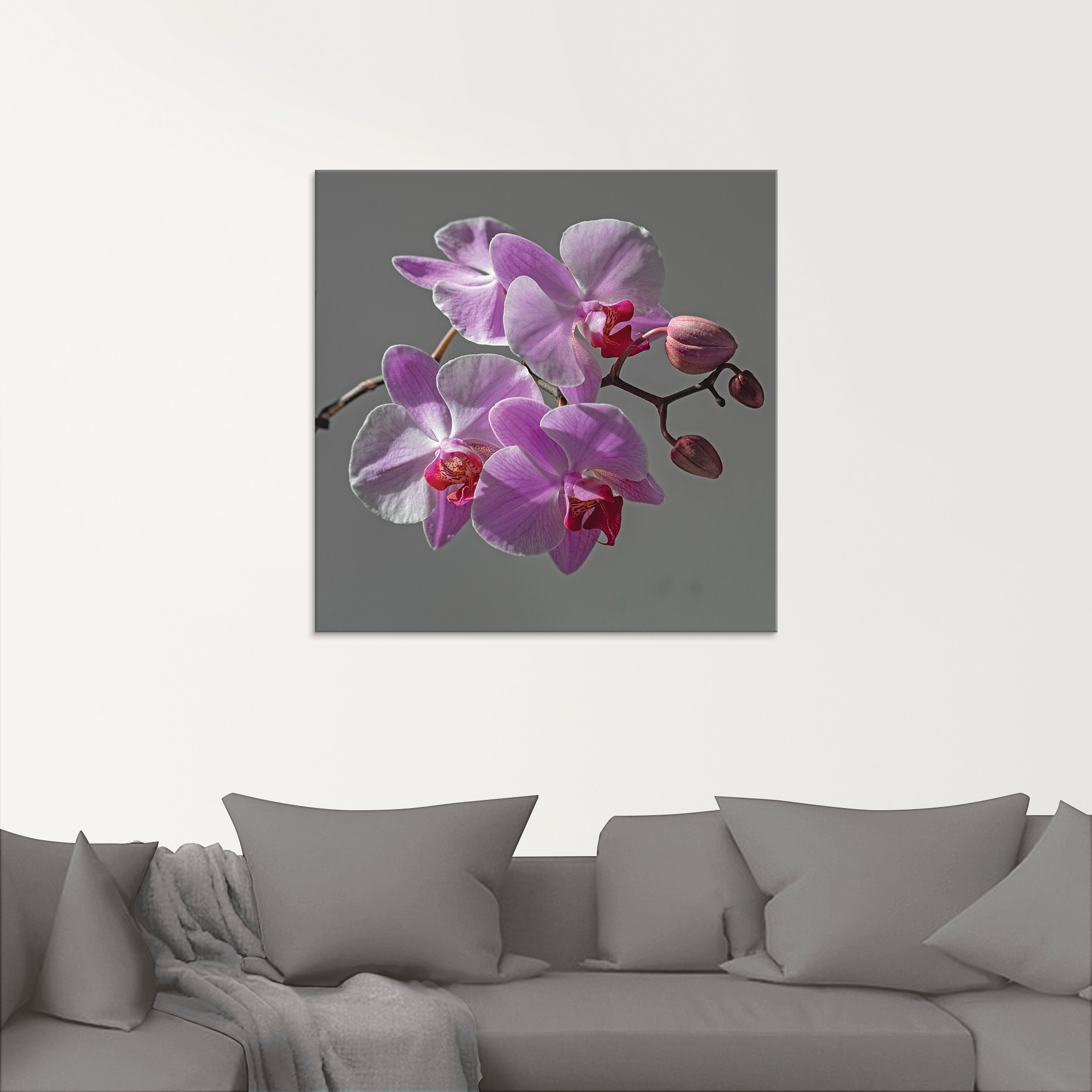 Artland Glasbild »Orchideentraum«, Blumen, (1 St.), in verschiedenen Größen günstig online kaufen