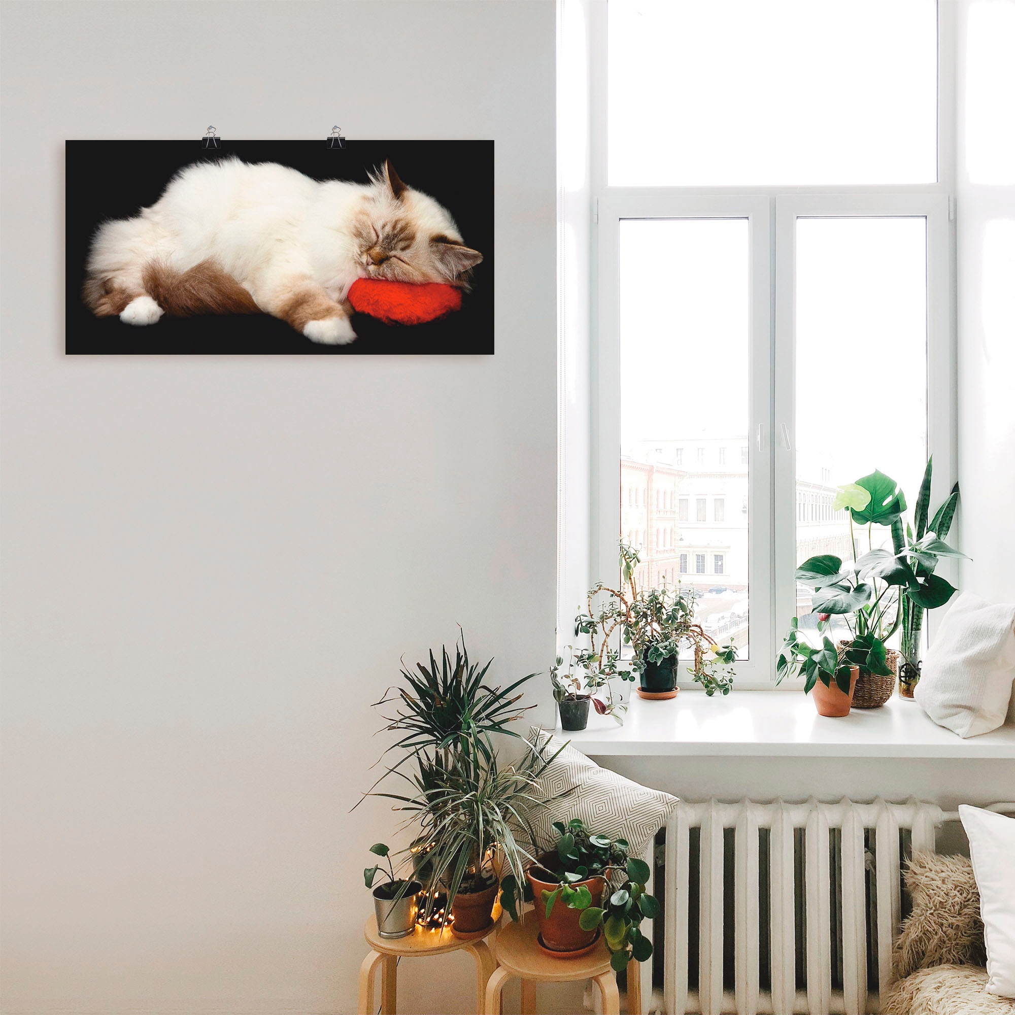 Artland Wandbild »Müde Katze«, Haustiere, (1 St.), als Leinwandbild, Poster, Wandaufkleber in verschied. Größen