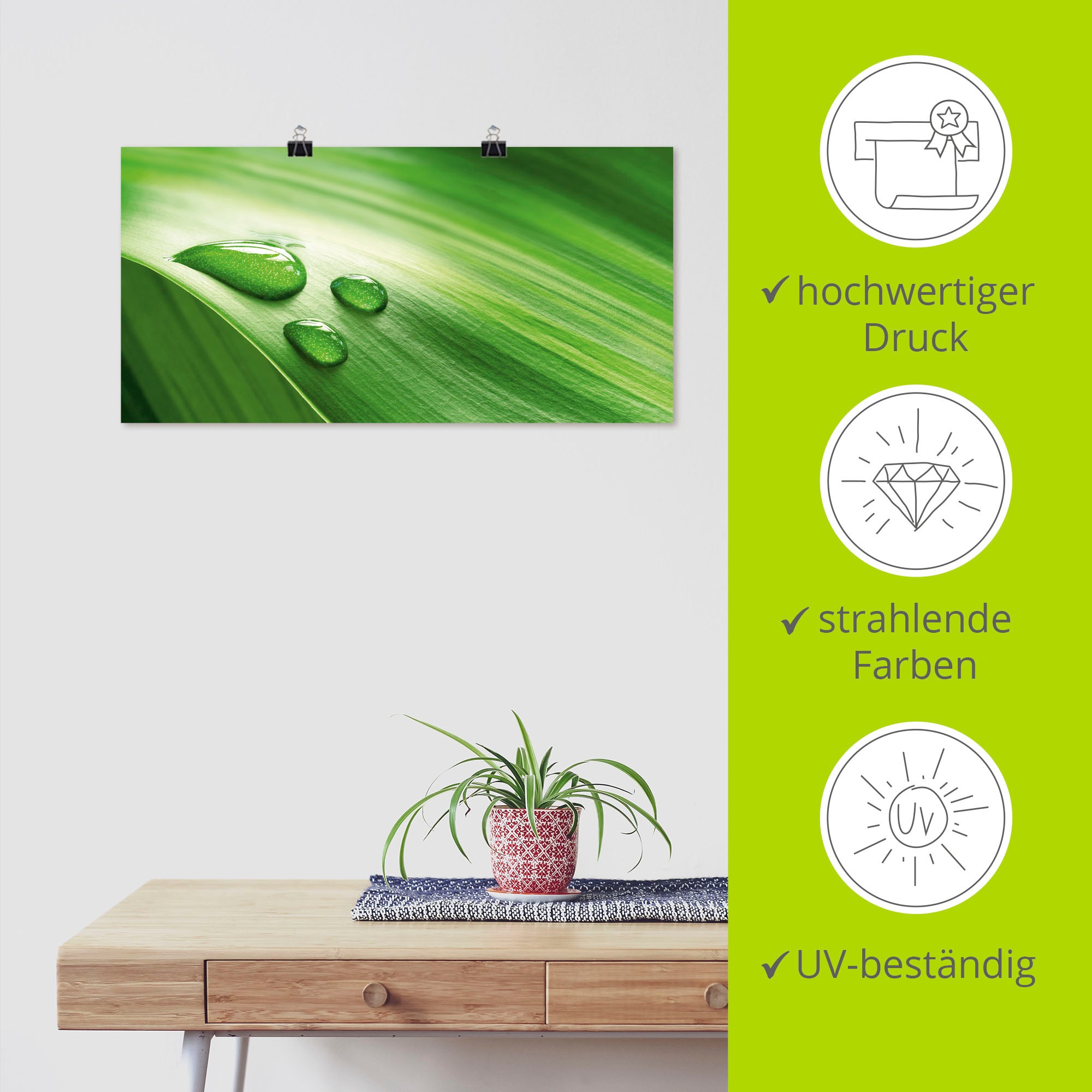 Artland Poster »Nahaufnahme eines grünen Pflanzenblattes«, Blätter, (1 St.), als Leinwandbild, Wandaufkleber oder Poster in versch. Größen