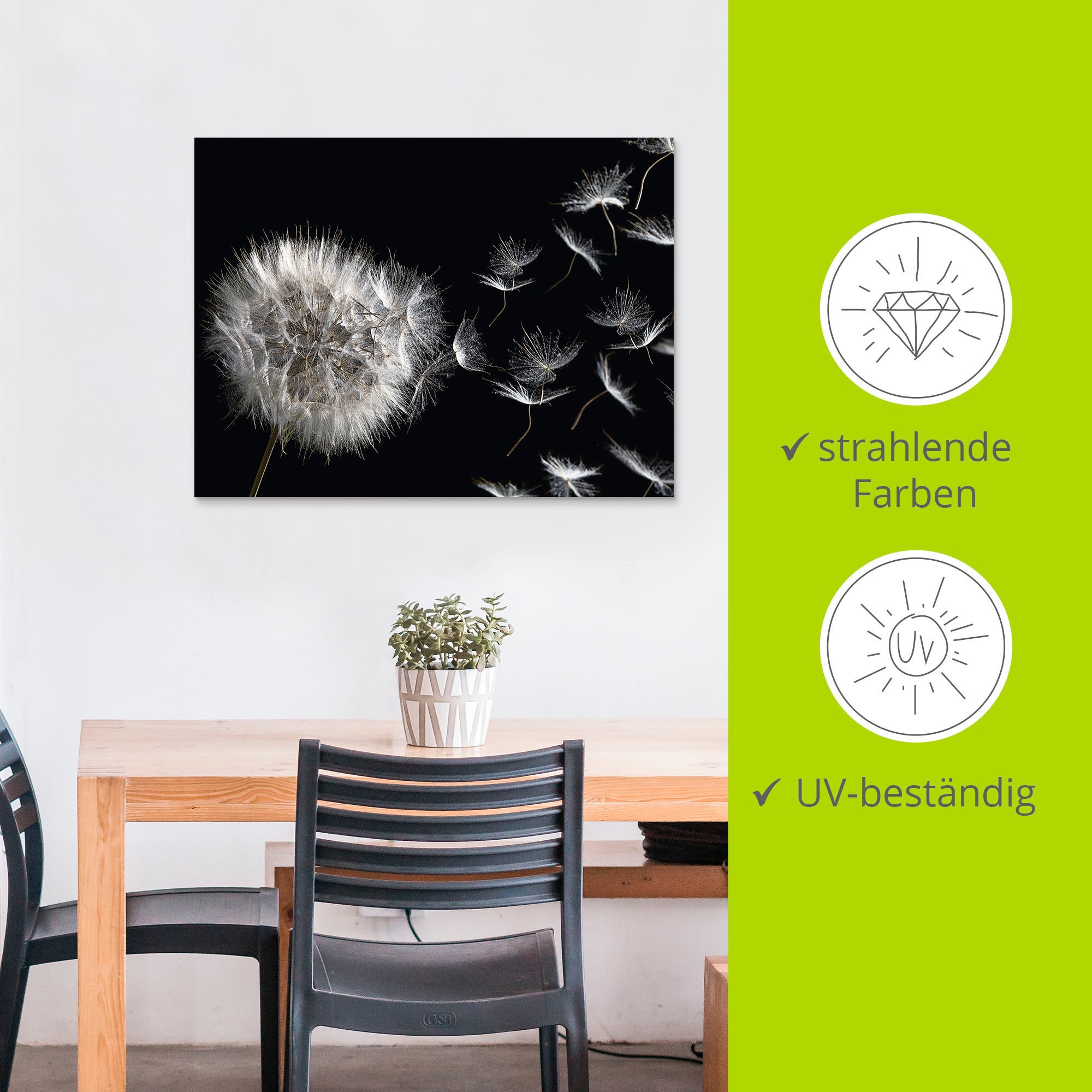 Artland Wandbild »Pusteblume«, Blumenbilder, (1 St.), als Alubild, Outdoorbild, Leinwandbild, Poster, Wandaufkleber