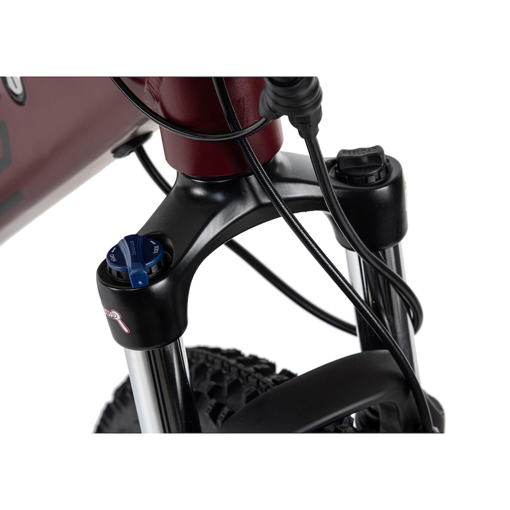 Adore E-Bike »Enforce«, 24 Gang, Shimano, Altus, Heckmotor 250 W