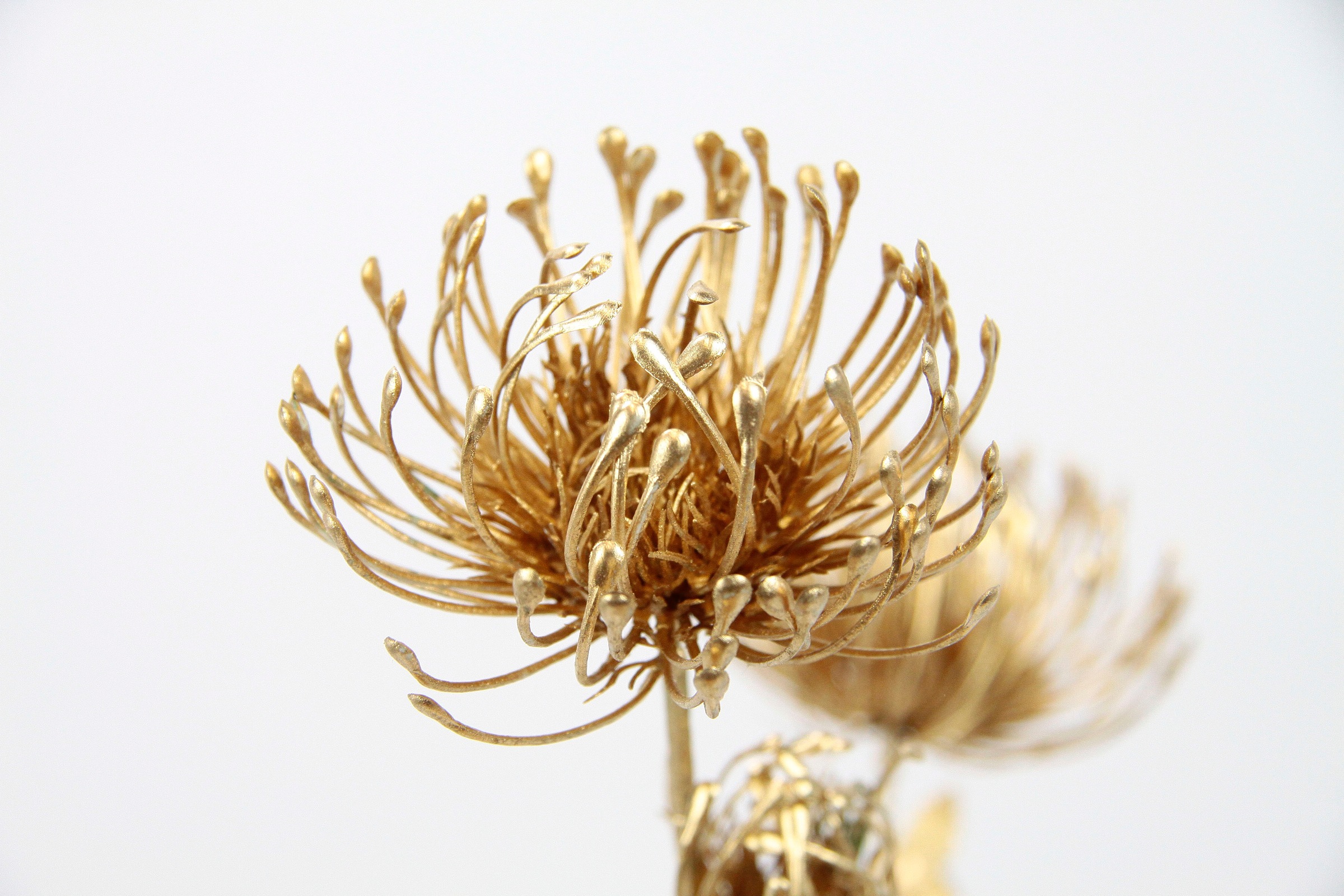 I.GE.A. Kunstblume »Protea«, metallic Kunstzweig, 3er Set