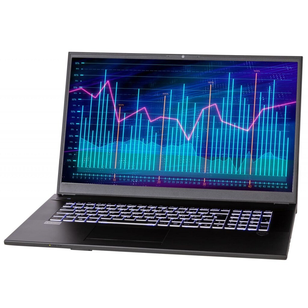 CAPTIVA Business-Notebook »Power Starter I61-811«, 43,9 cm, / 17,3 Zoll, Intel, Core i7, 500 GB SSD