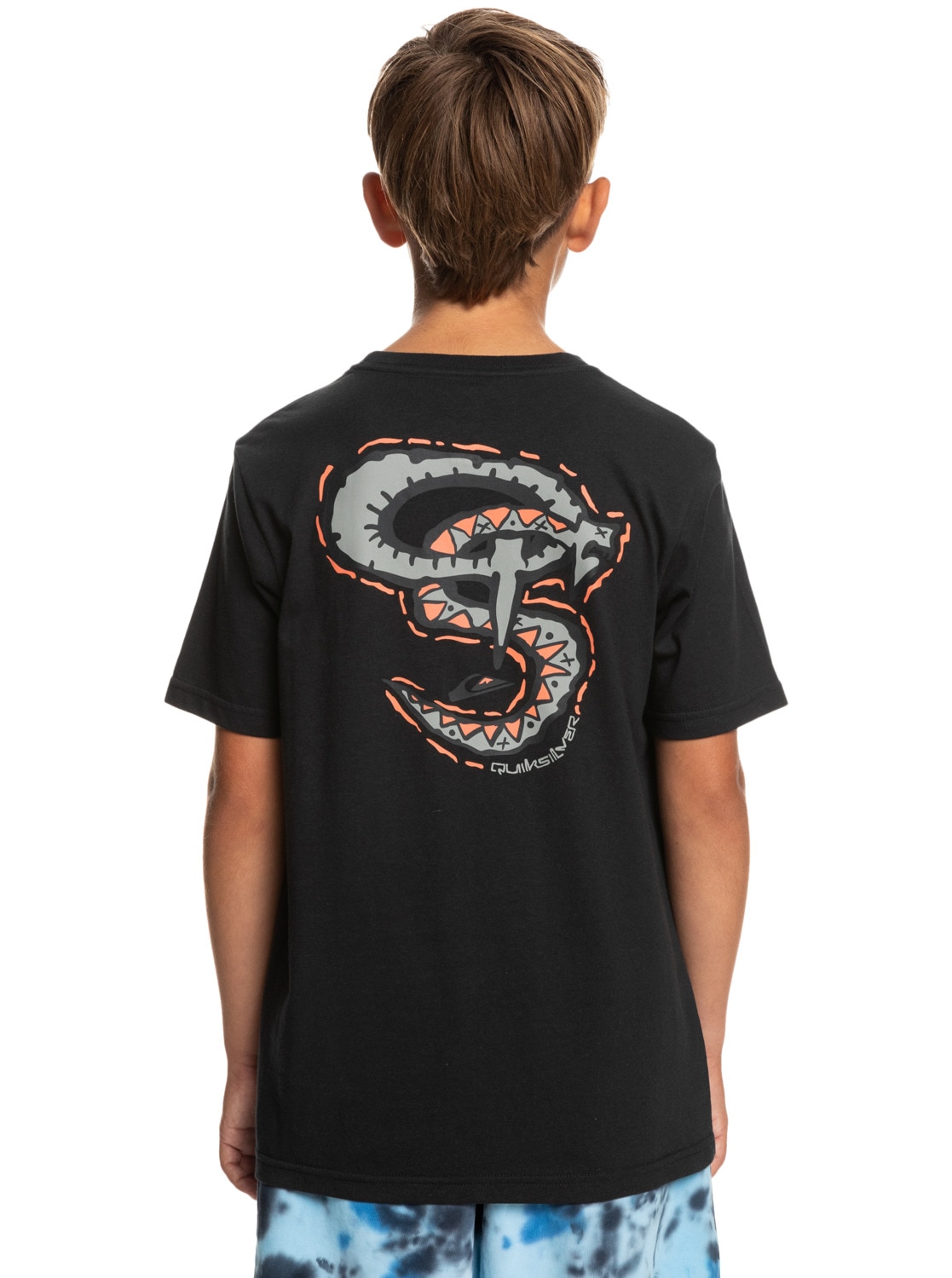 Quiksilver T-Shirt »Snaky Words«
