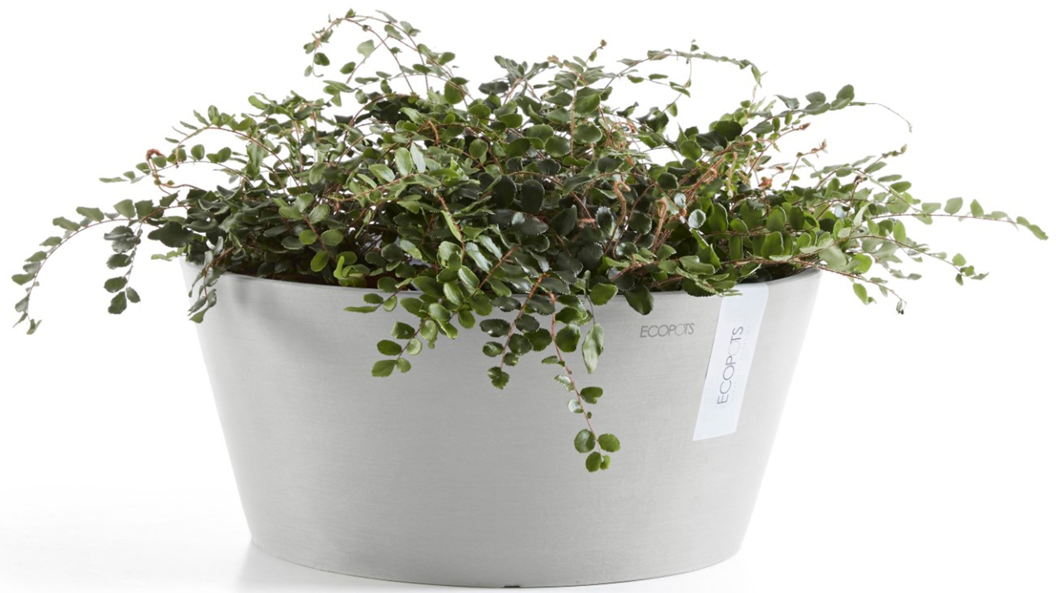 ECOPOTS Blumentopf »Frankfurt 30 Weißgrau« für innen und außen: frostsicher, bruchsicher und lichtbeständig