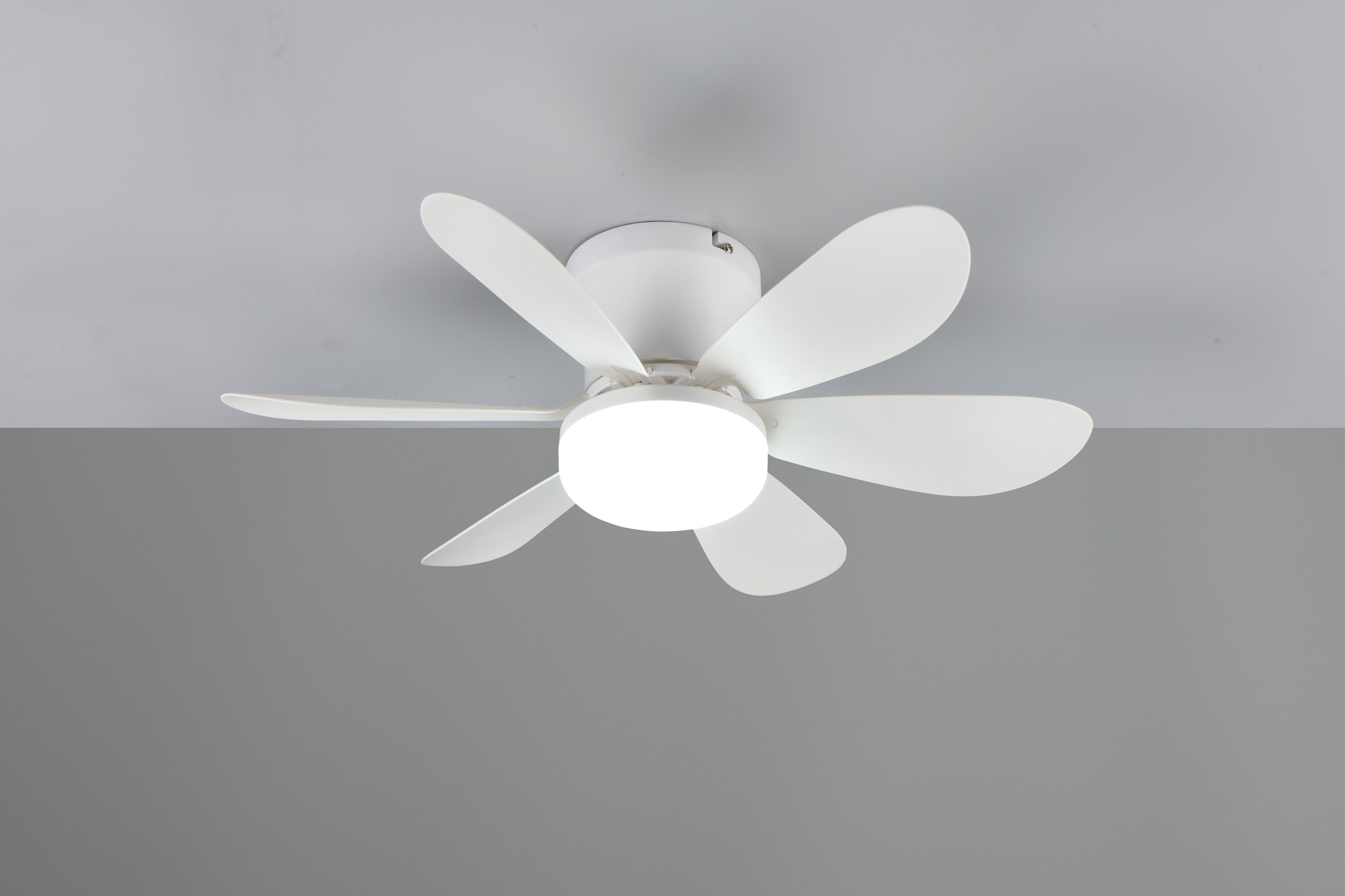 REALITY Leuchten LED Deckenleuchte »LUND mit Ventilator, Deckenventilator mit Licht inkl Fernbedienung«, 1 flammig, Leuchtmittel LED-Board | LED fest integriert, 3 Geschwindigkeiten Timer Vor- & Rücklauf LED dimmbar CCT Nachtlicht