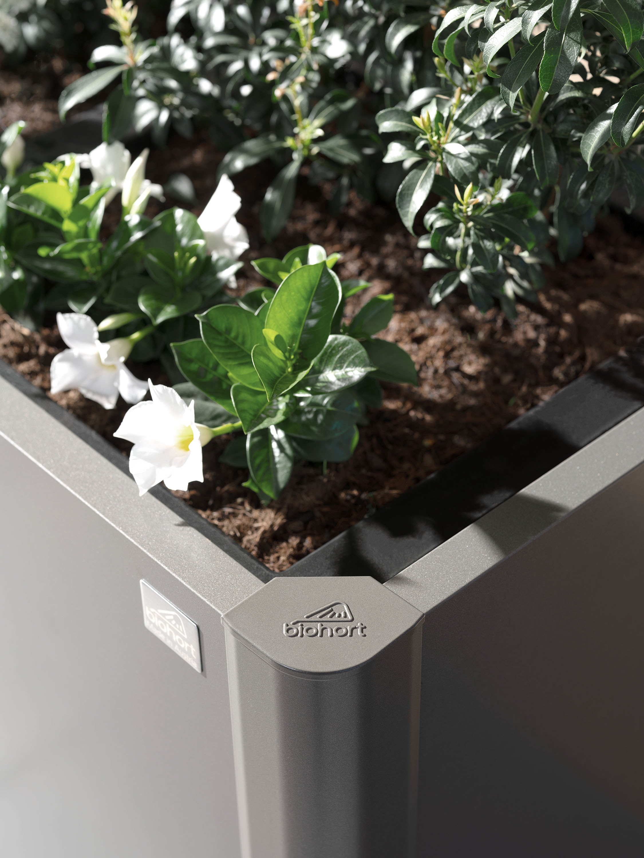 Biohort Hochbeet »BELVEDERE mini 1x0,5; verschiedene Farben«, 102x53x45 cm, extrem langlebig, aus Metall