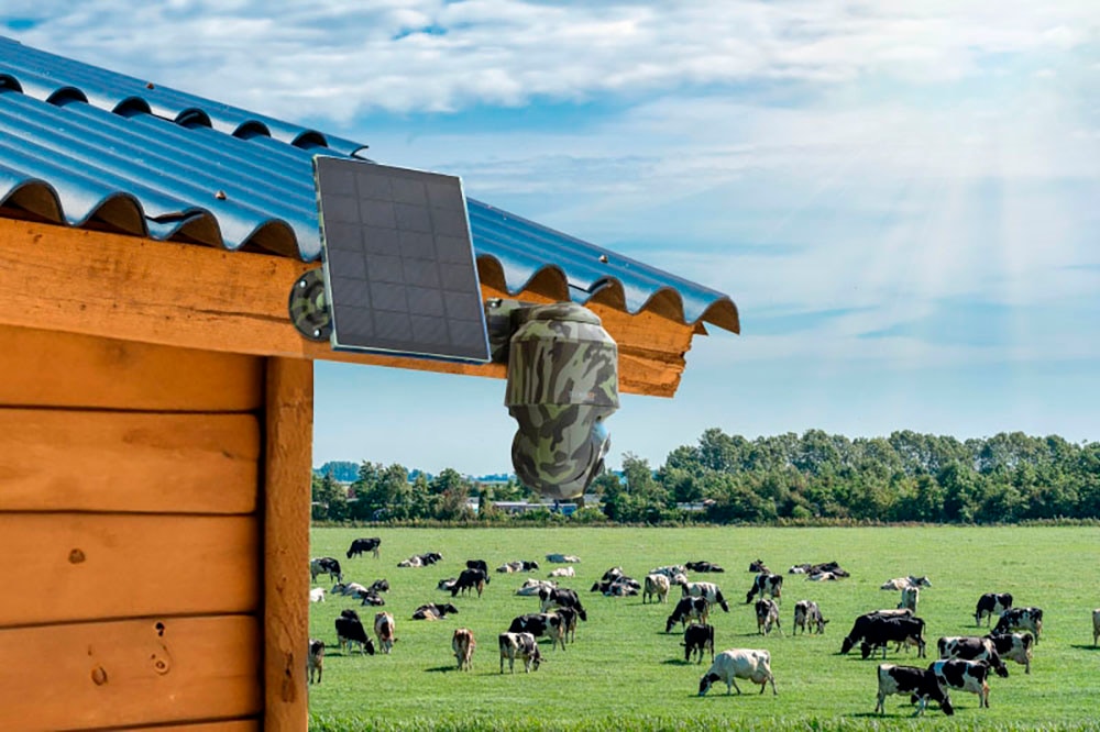 Technaxx Überwachungskamera »4G PT Dome TX-290 mit Solarmodul«, Außenbereich