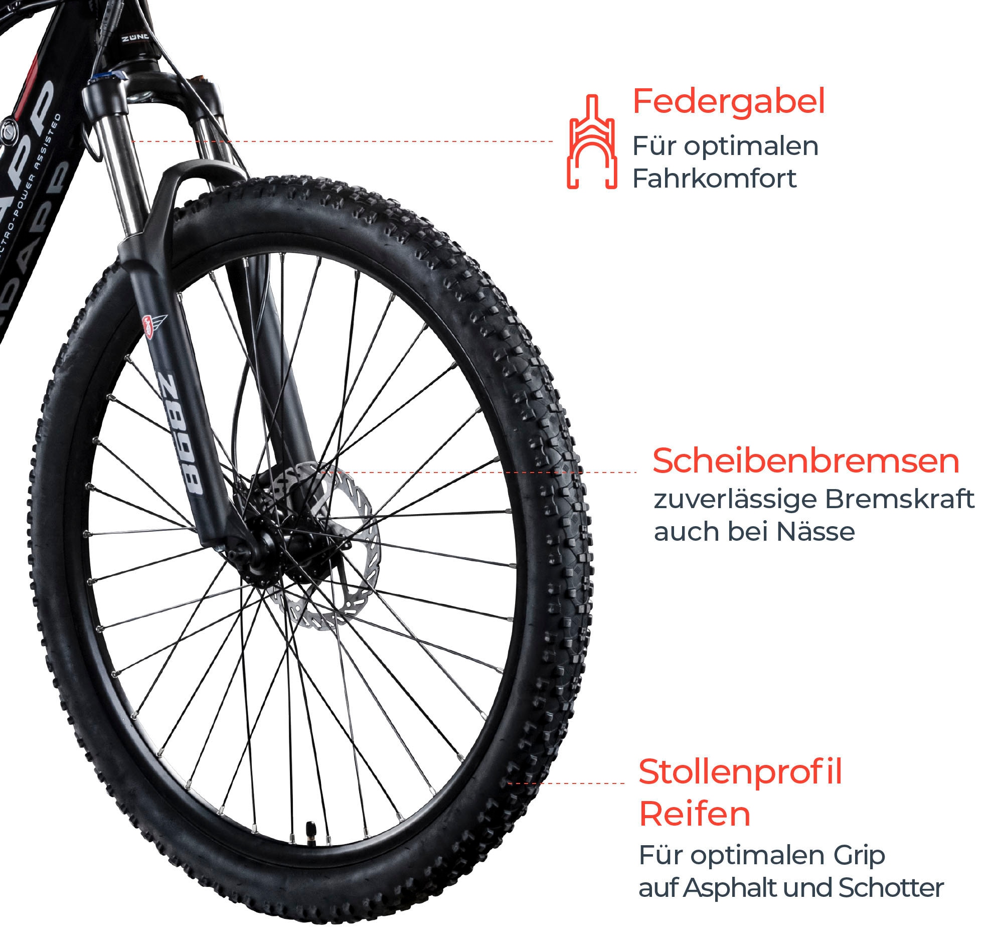 Zündapp E-Bike »Z898«, 24 Gang, Heckmotor 250 W, Pedelec