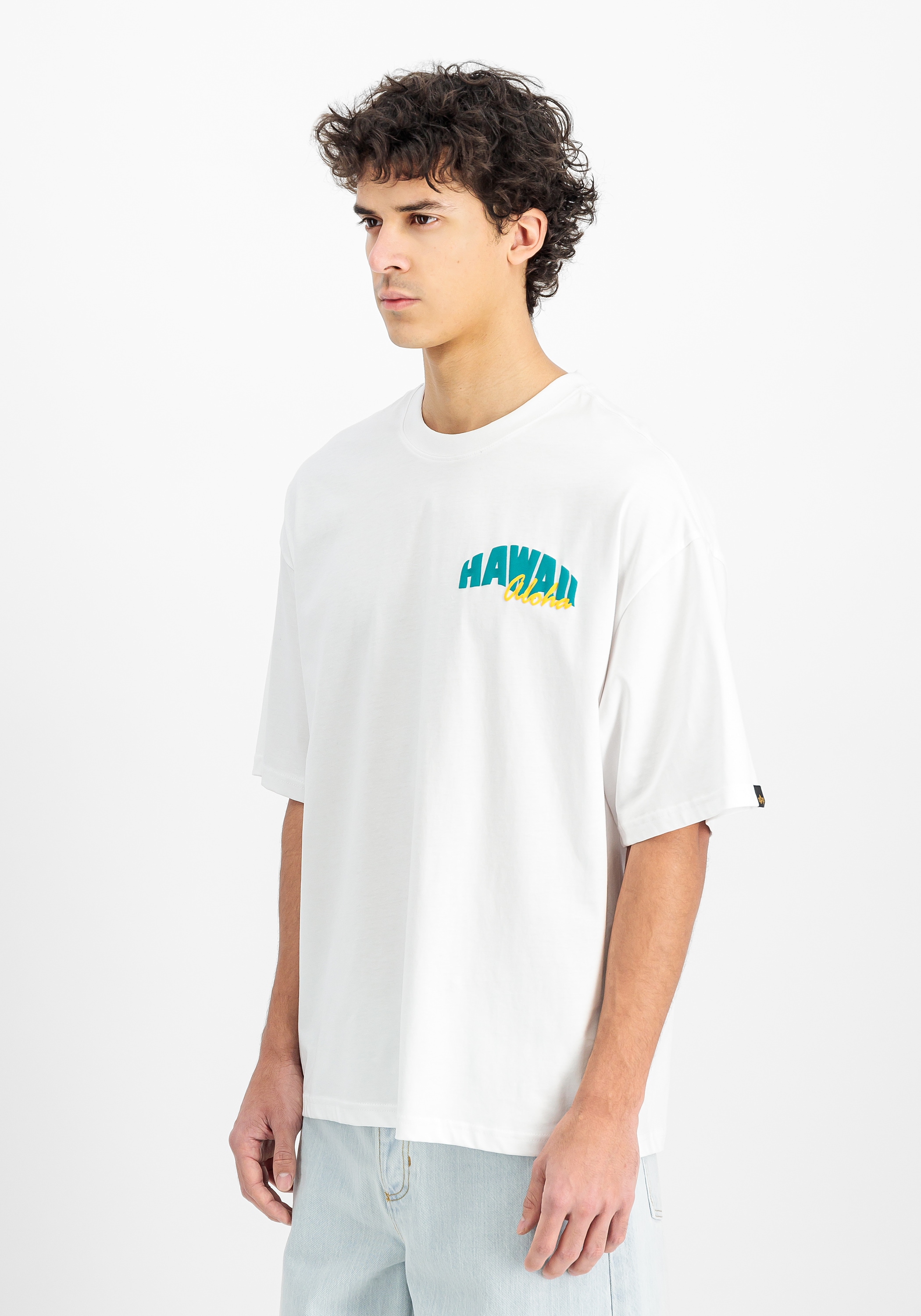 Alpha Industries T-Shirt »Alpha Industries Men - T-Shirts Hawaii Aloha Backprint T-Shirt«
