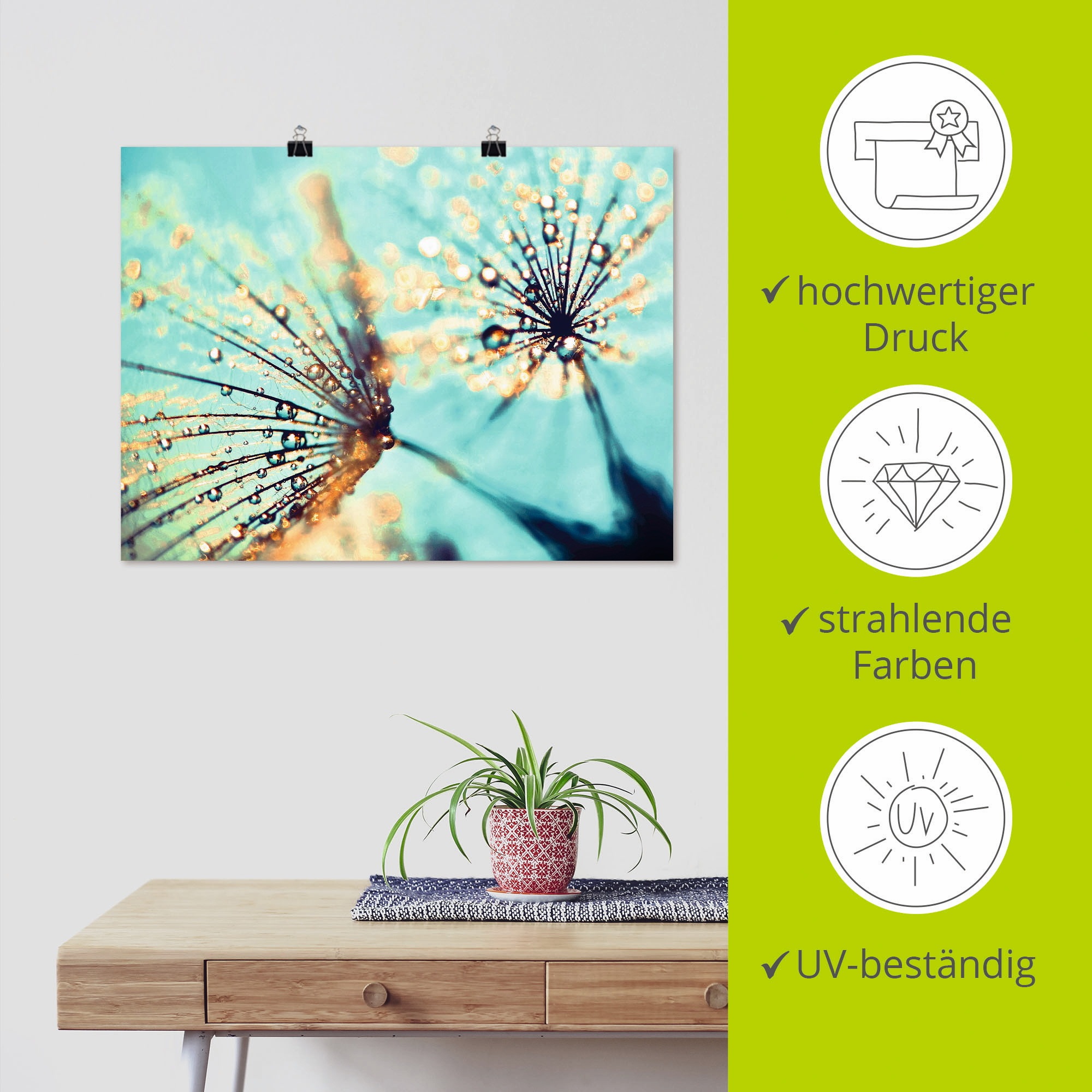 Artland Wandbild »Pusteblume aqua«, Blumen, (1 St.), als Leinwandbild, Poster, Wandaufkleber in verschied. Größen