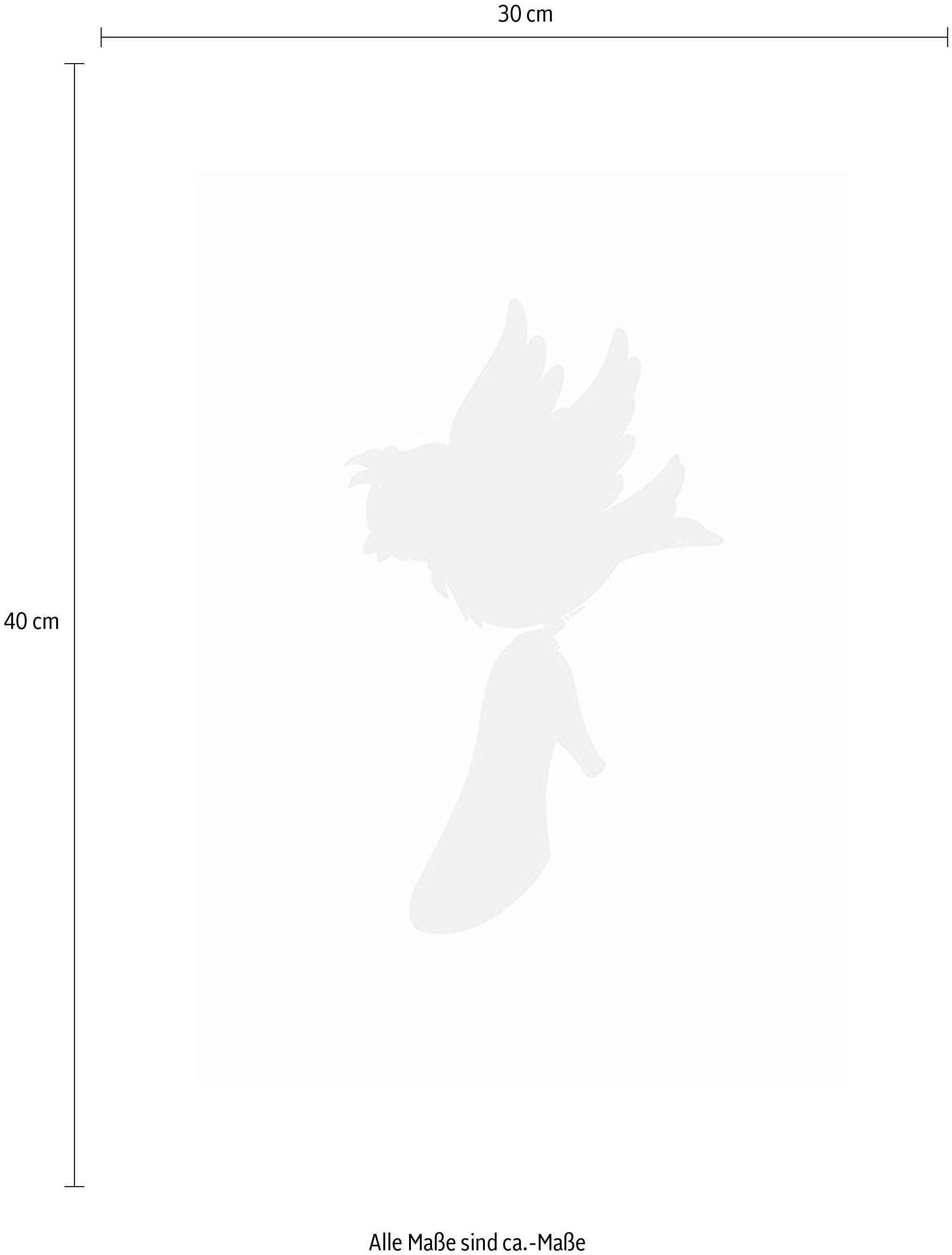 Komar Bild »Cinderella Bird« Disney 1 Stk. tlg. Wandbild zur Dekoration im Kinderzimmer - ohne Rahmen