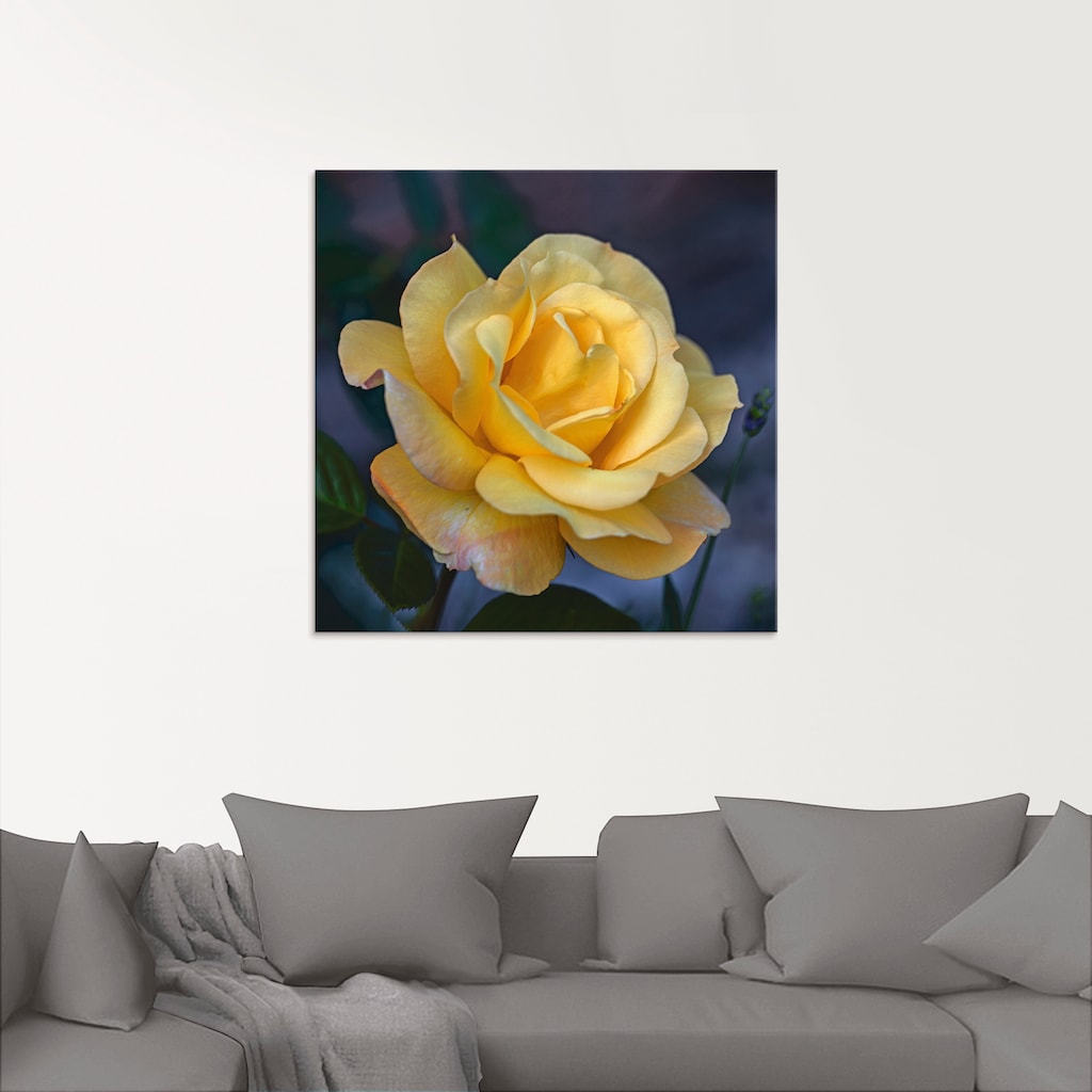 Artland Glasbild »Gelbe Rose«, Blumen, (1 St.)