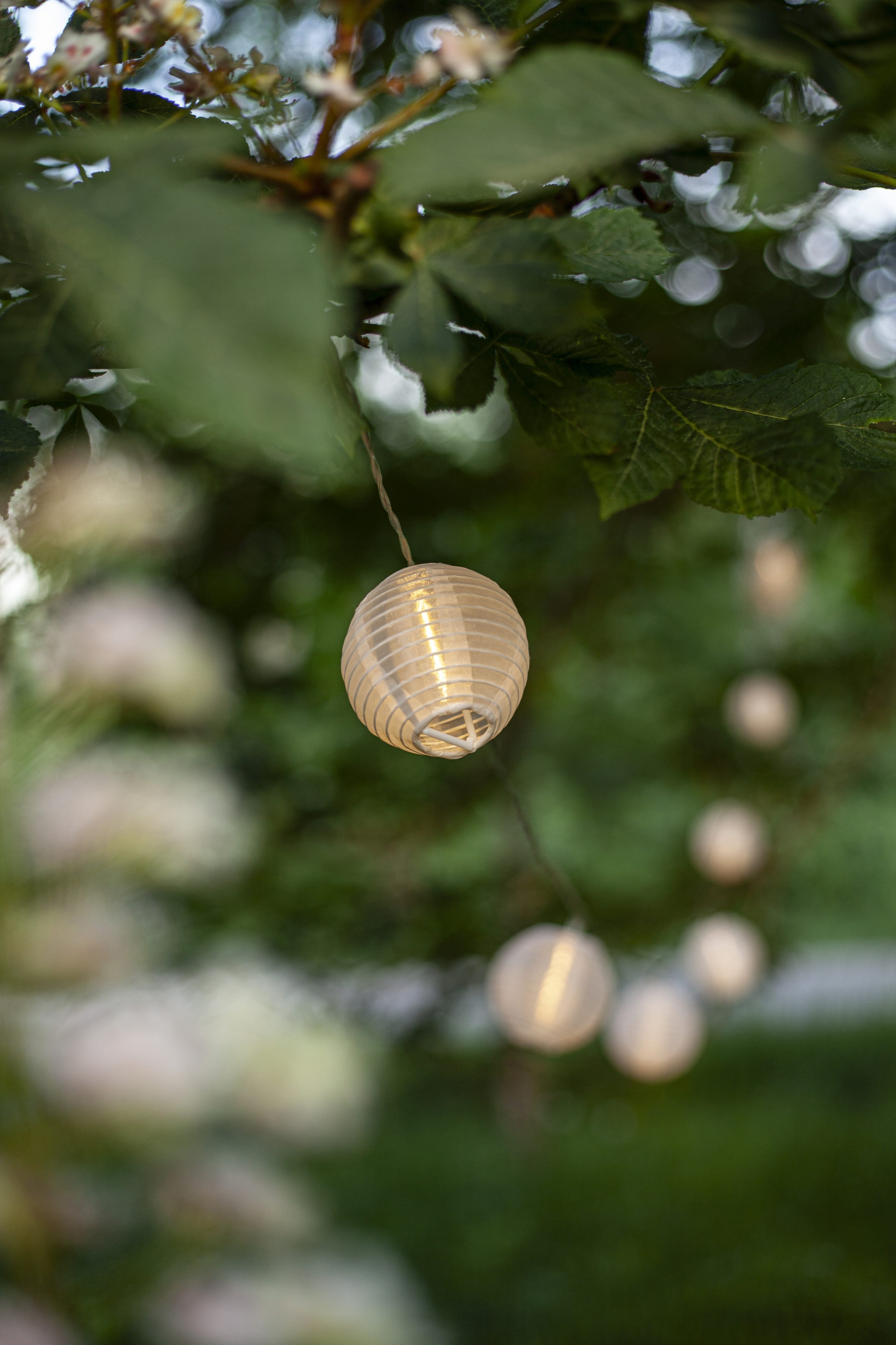 Parforce Traditional Hunting LED-Lichterkette »Festival« 10 Stk.-flammig ca. 4,5 m, outdoor, mit Trafo, 
Sichtkarton
