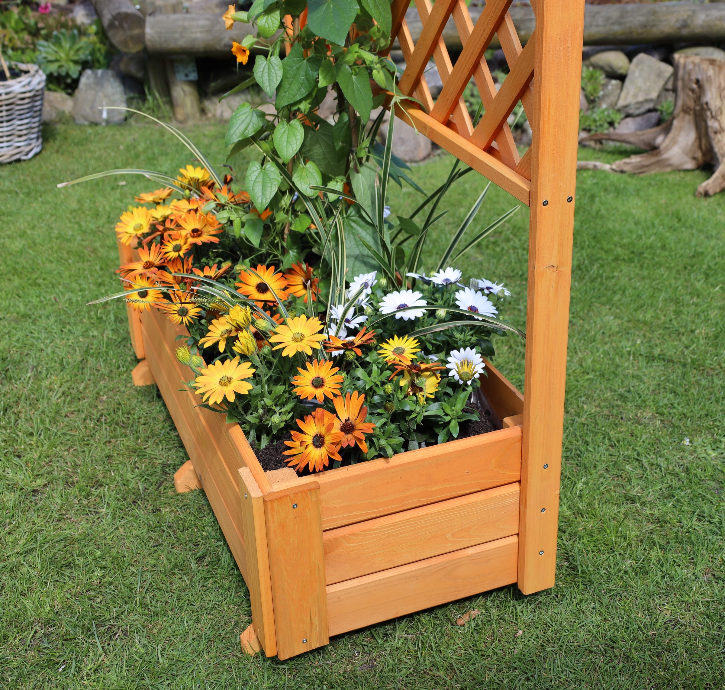promadino Spalier, mit Pflanzkasten, BxT: 91x41 cm, versch. Höhen