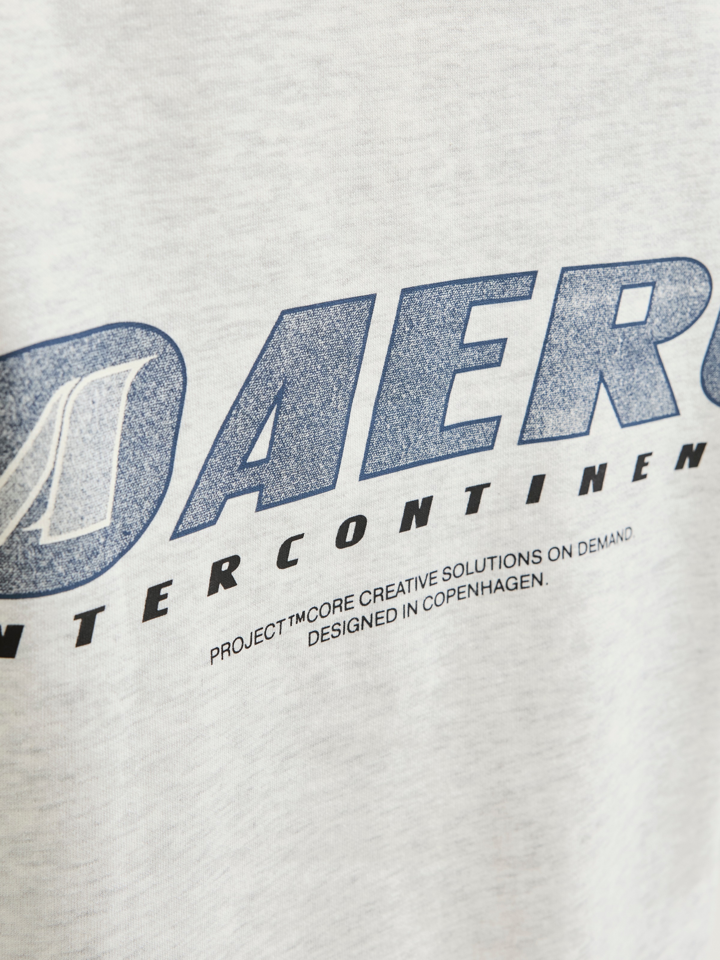 Jack & Jones Kapuzensweatshirt »JCOTIER PRINT SWEAT HOOD«