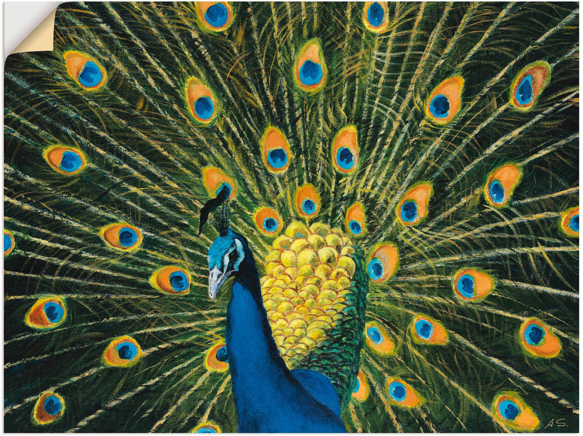 Artland Wandbild »Pfau«, Vögel, (1 St.), als Alubild, Leinwandbild,  Wandaufkleber oder Poster in versch. Größen auf Rechnung kaufen