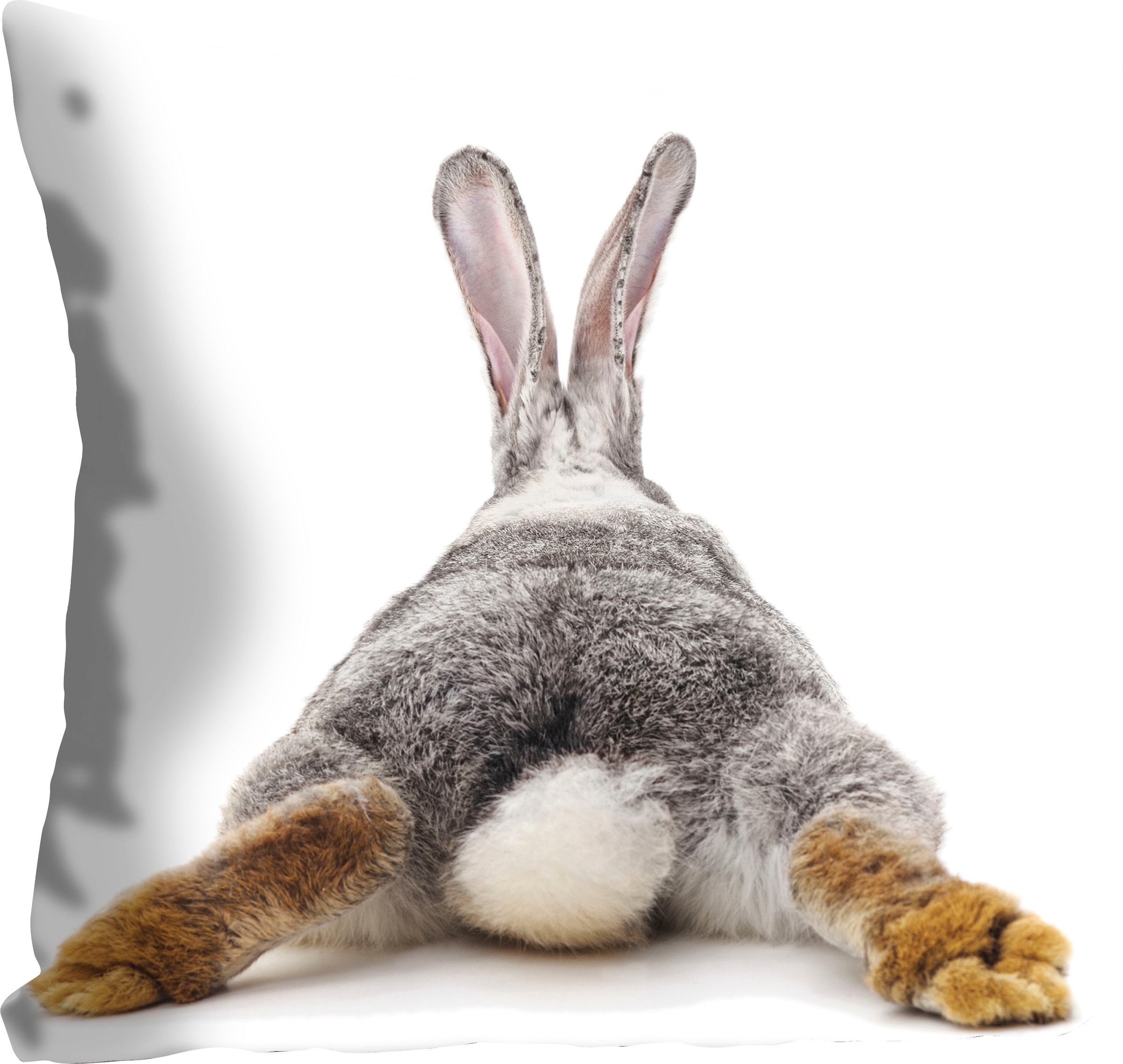 queence Dekokissen »Rabbit Tail«, mit einem Hasenschwanz, Kissenhülle ohne günstig online kaufen