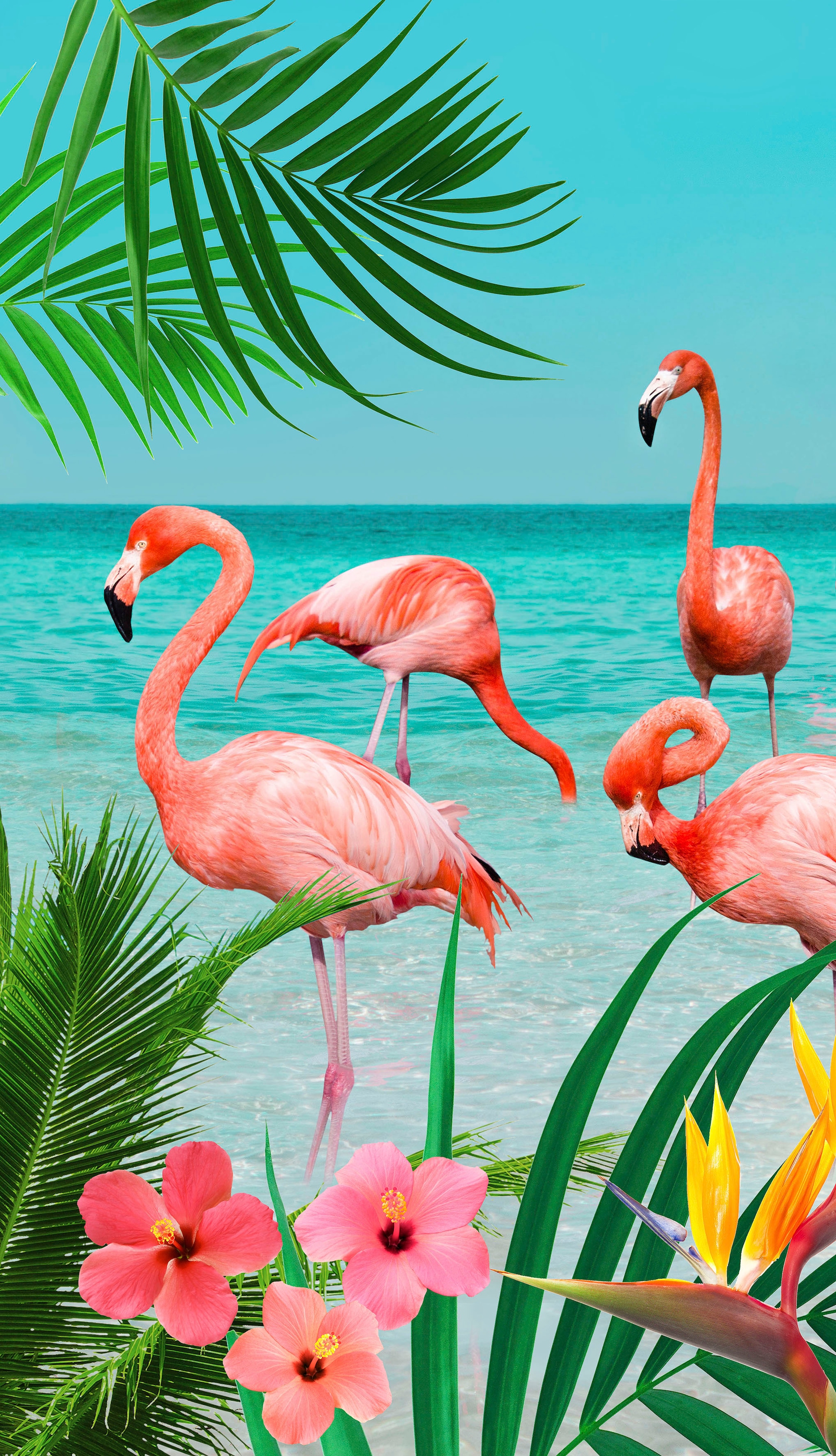 good morning Strandtuch »Flamingo«, (1 St., Strandtuch 100 x 180 cm), Mikro günstig online kaufen