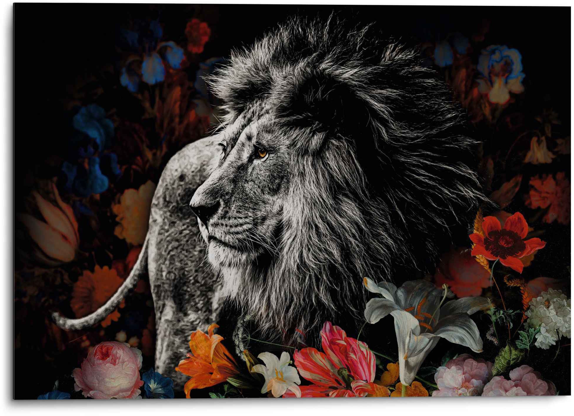 Reinders! Wandbild »Aluminium Wandbild Löwe in Blumen de Heem - Kräftig -  Farbenfroh«, Löwen, (1 St.) auf Raten kaufen
