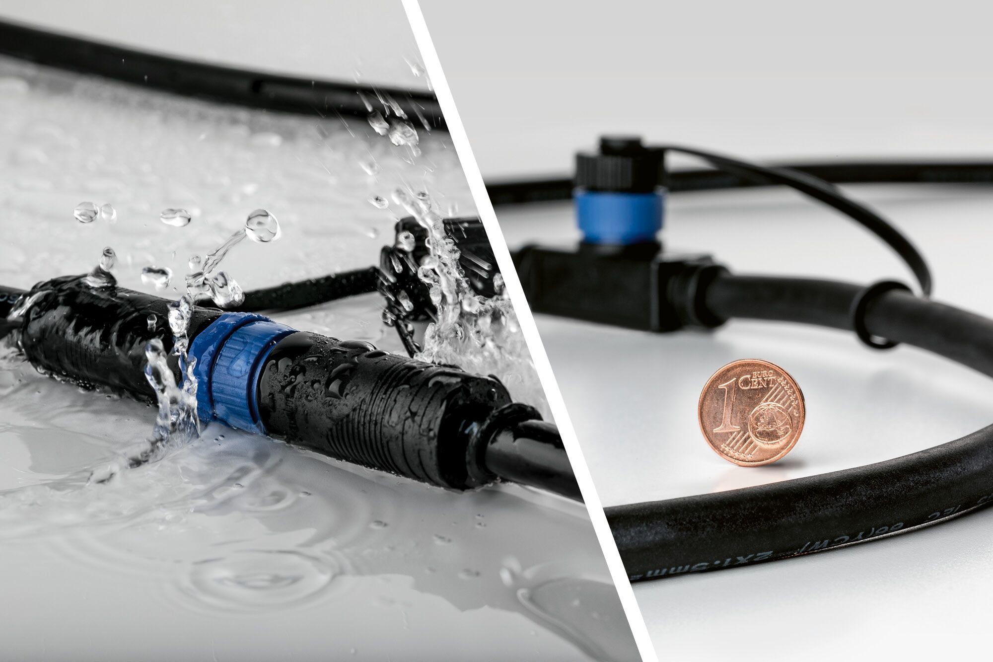 Paulmann LED Einbauleuchte »Plug & Shine« LED-Modul 1 Stk. Warmweiß LED-Modul, IP65 3000K 24V