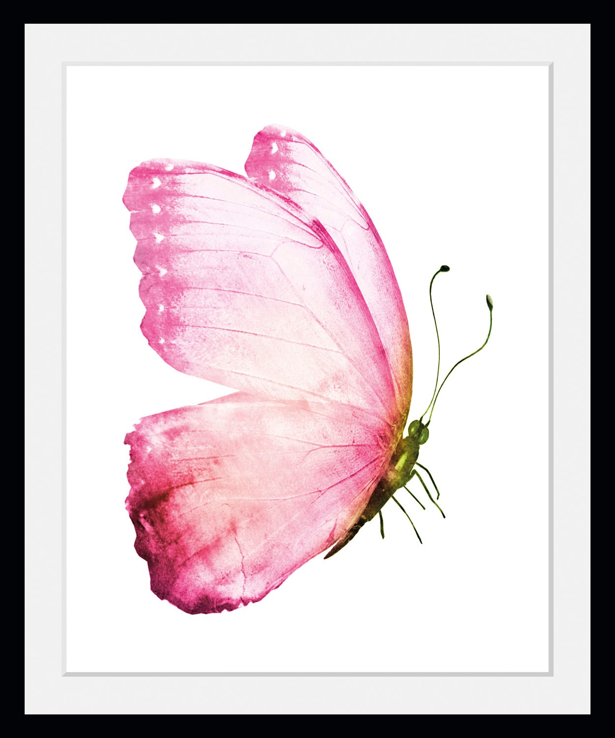 queence Bild »Apache«, Schmetterlinge-Kunst-Insekten-Schwarz-Weiß, (1 St.), günstig online kaufen