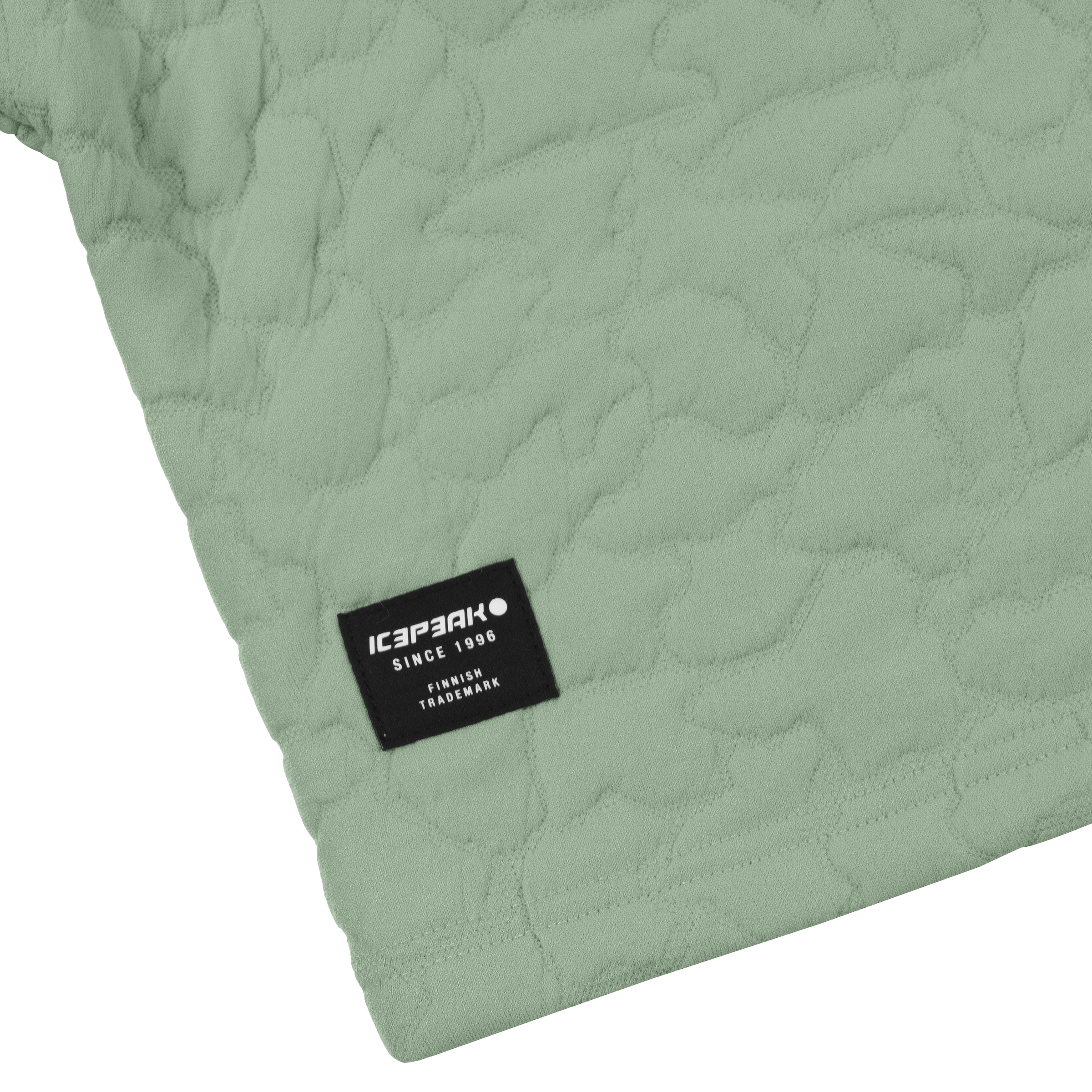 Icepeak Fleecejacke »D FLEECEJACKE ABBOTTA«, mit Kapuze