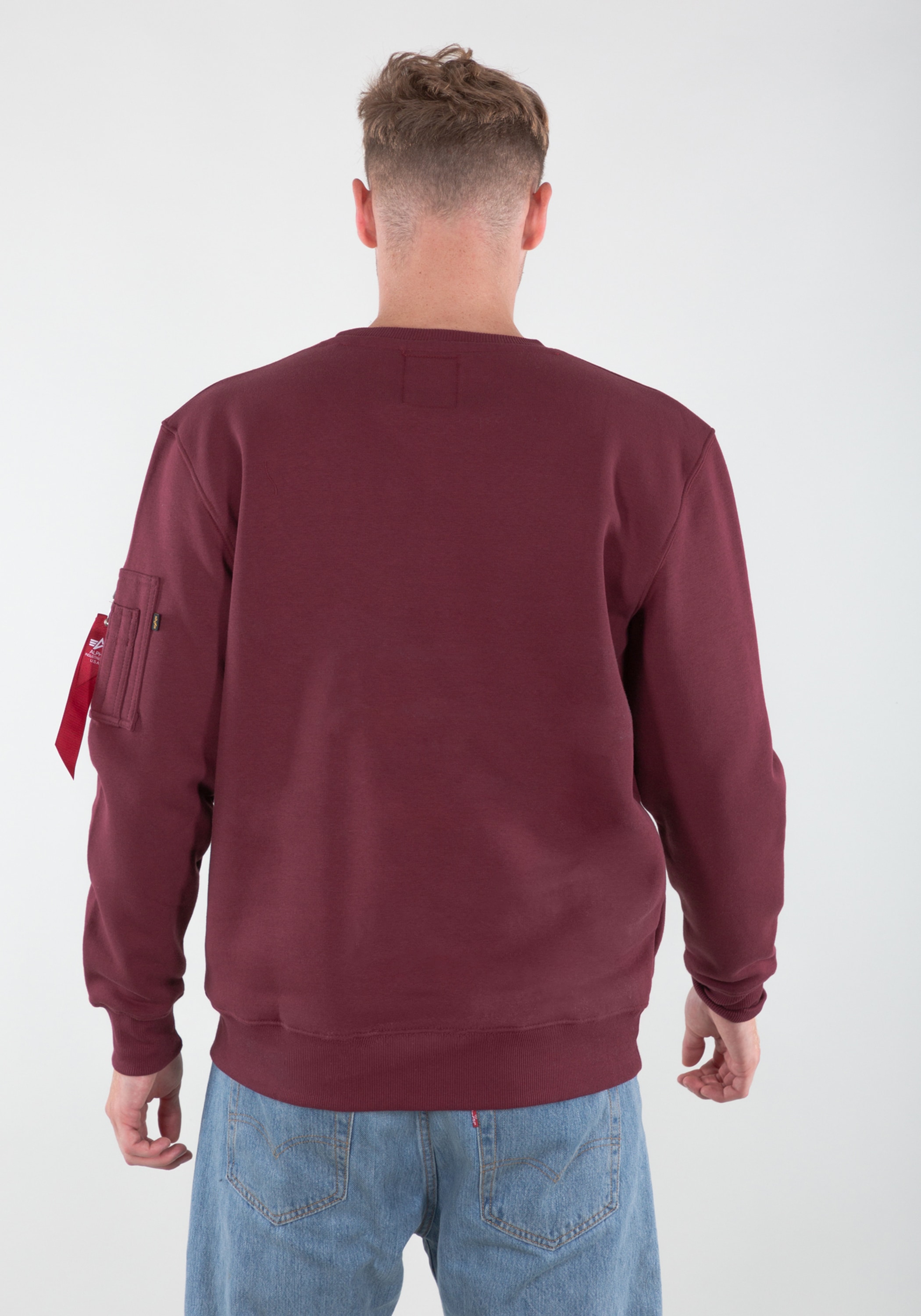 Alpha Industries Sweater »Alpha Industries Men - Sweatshirts NASA Reflective Sweater«