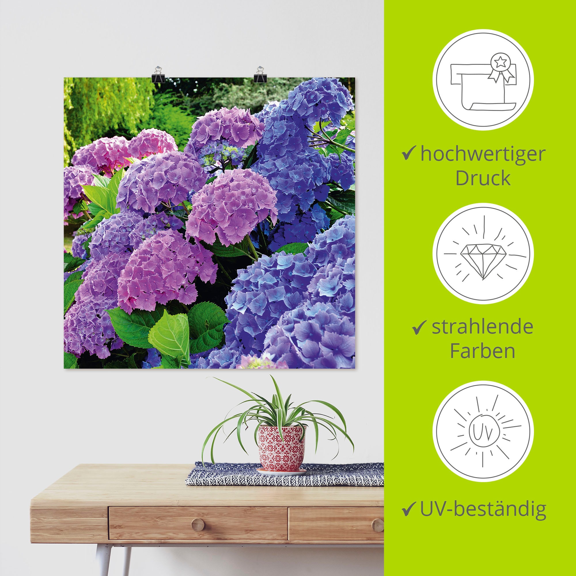 Artland Wandbild »Hortensien im Garten« Blumen 1 Stk. tlg. als Alubild, Leinwandbild, Poster in verschied. Größen