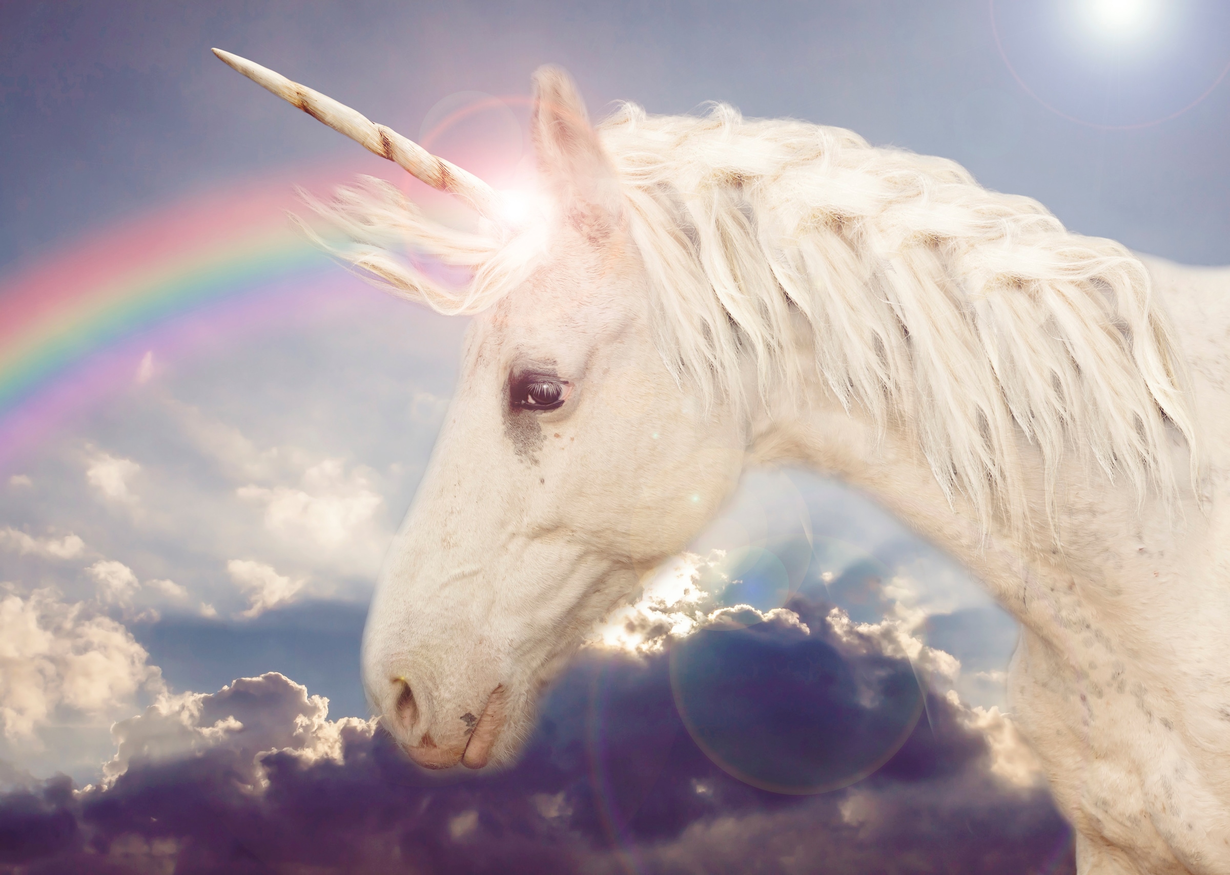Papermoon Fototapete »Unicorn Rainbow« glatt günstig online kaufen
