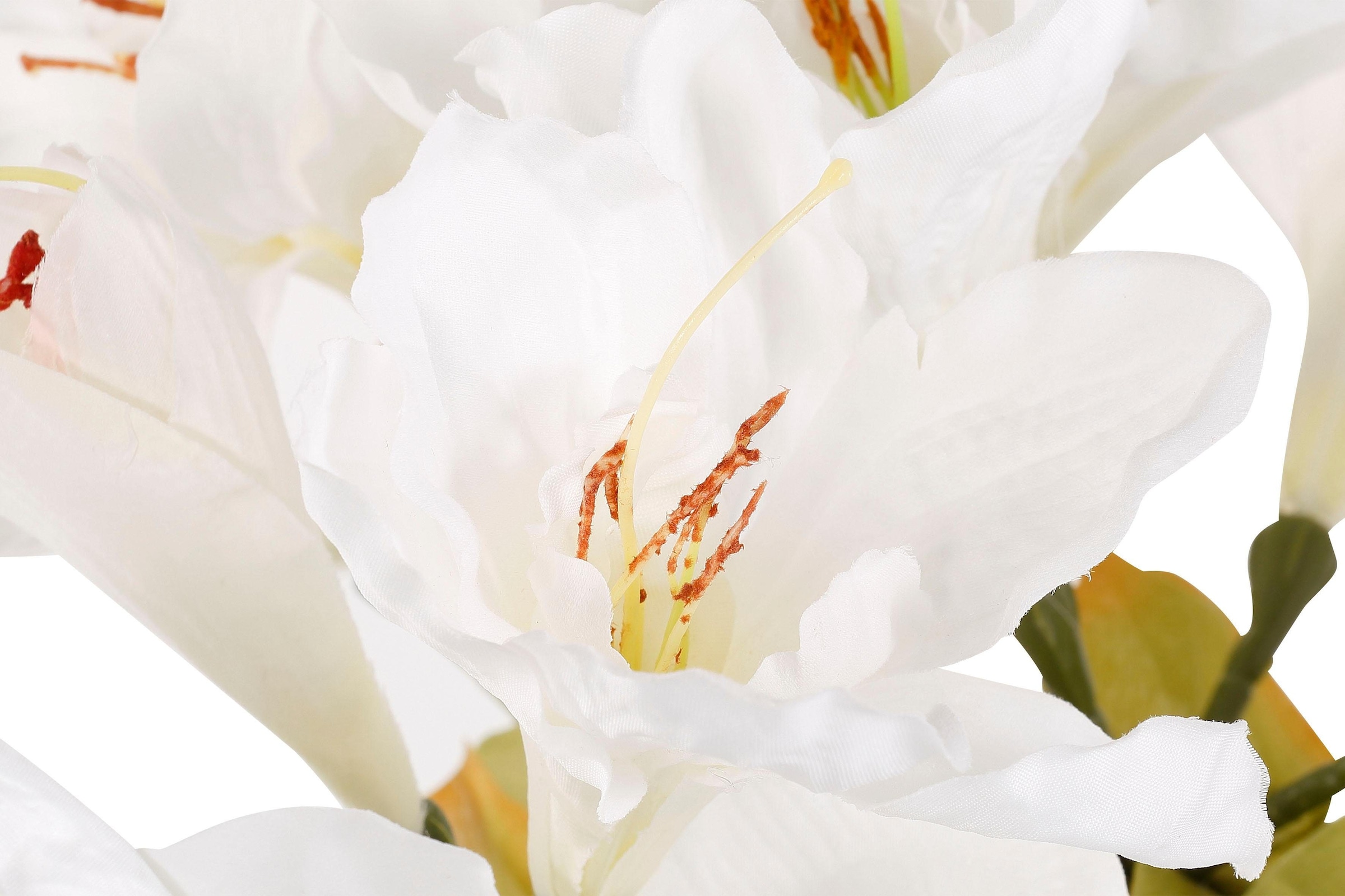 Kunstblume »Amaryllis«, (Set, mit 4 St.), online kaufen Vase