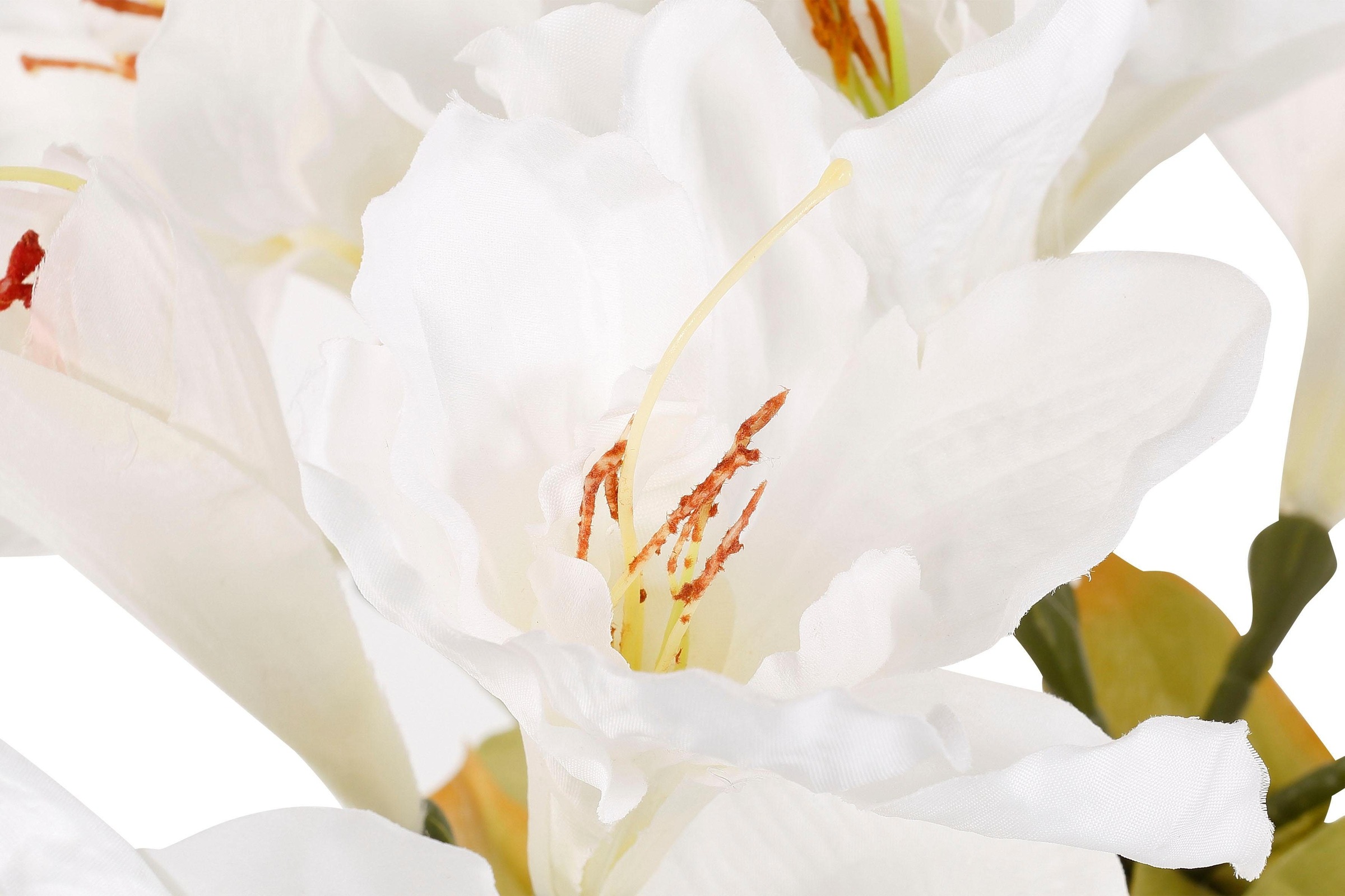 »Amaryllis«, Kunstblume online (Set, mit St.), 4 Vase kaufen