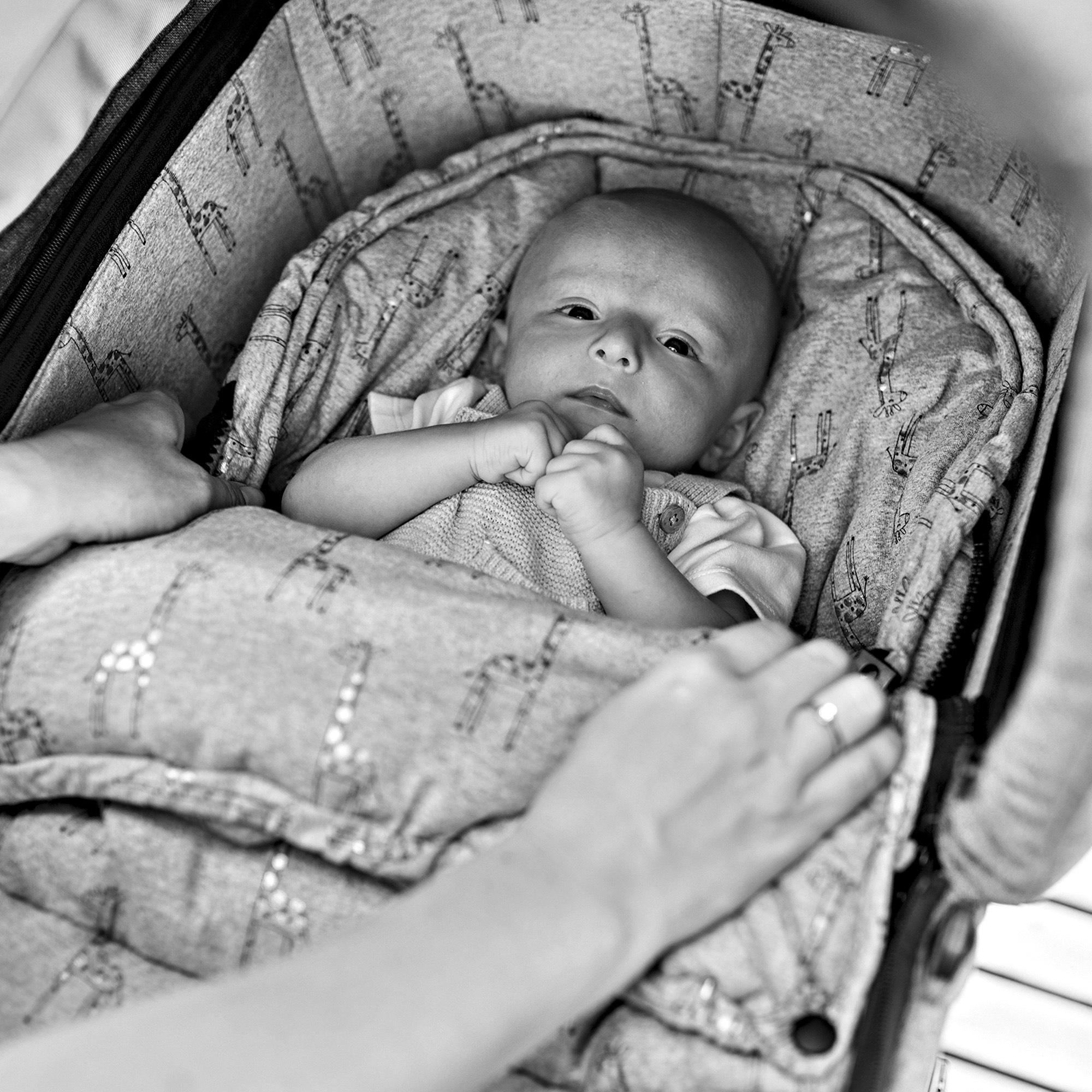 Gesslein Babywanne »Baby Nestchen, anthrazit Sterne«, für Kinderwagenwannen, Tragetaschen, Babyschalen oder Sportwagensitz