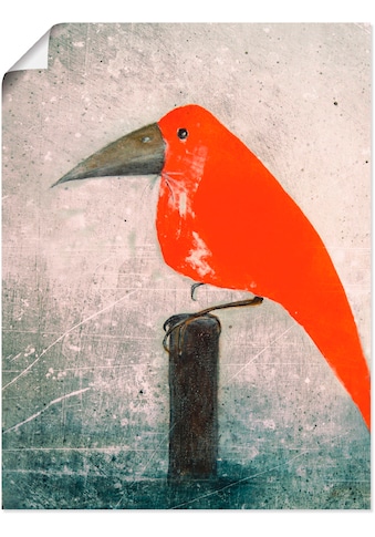 Artland Wandbild »Der Rote Vogel«, Vögel, (1 St.), in vielen Größen & Produktarten... kaufen