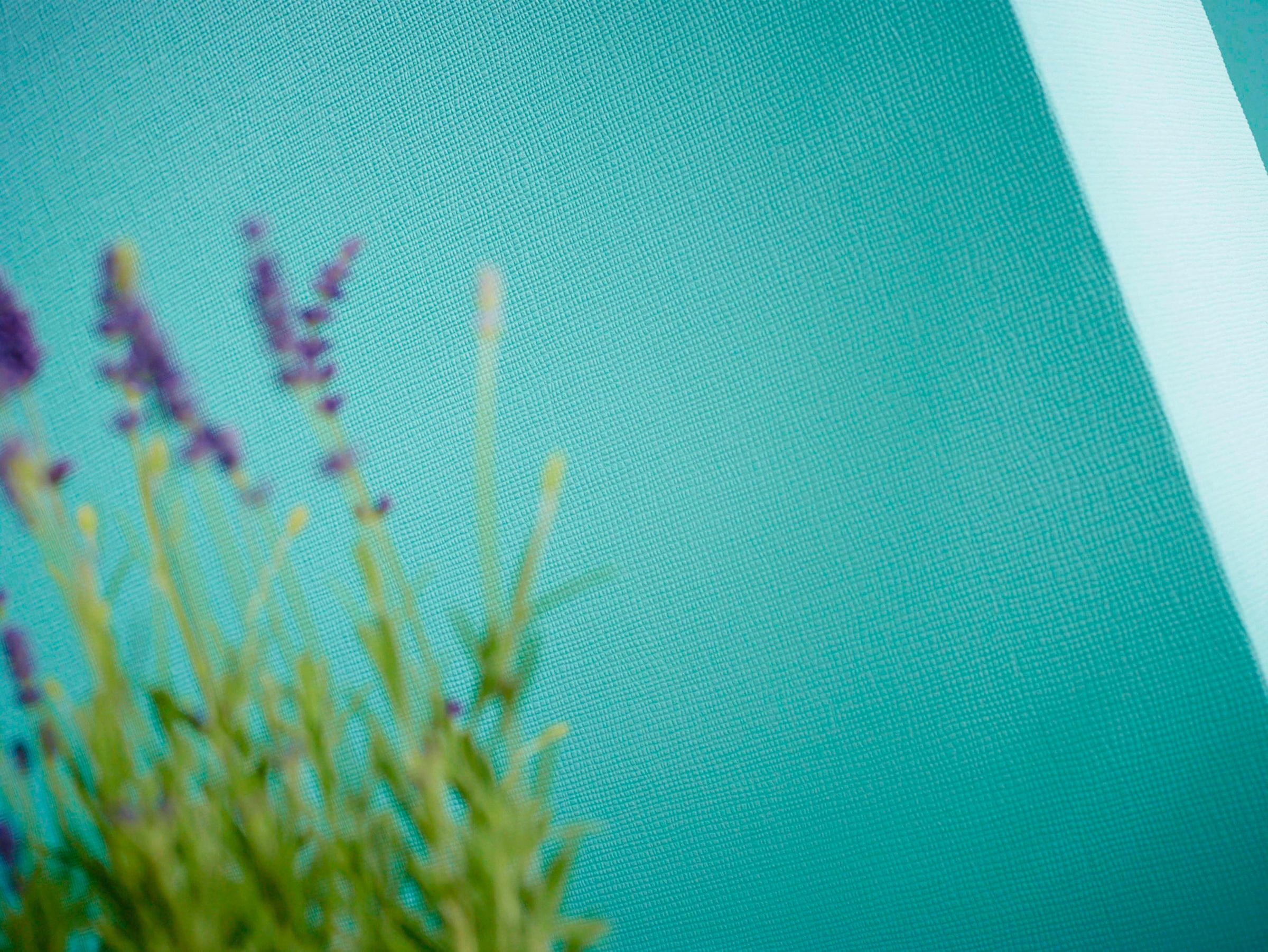 A.S. Création Vliestapete »Meistervlies« einfarbig | uni | unifarben leicht strukturiert Tapete einfarbig Überstreichbar Tapeten Wohnzimmer Schlafzimmer Design