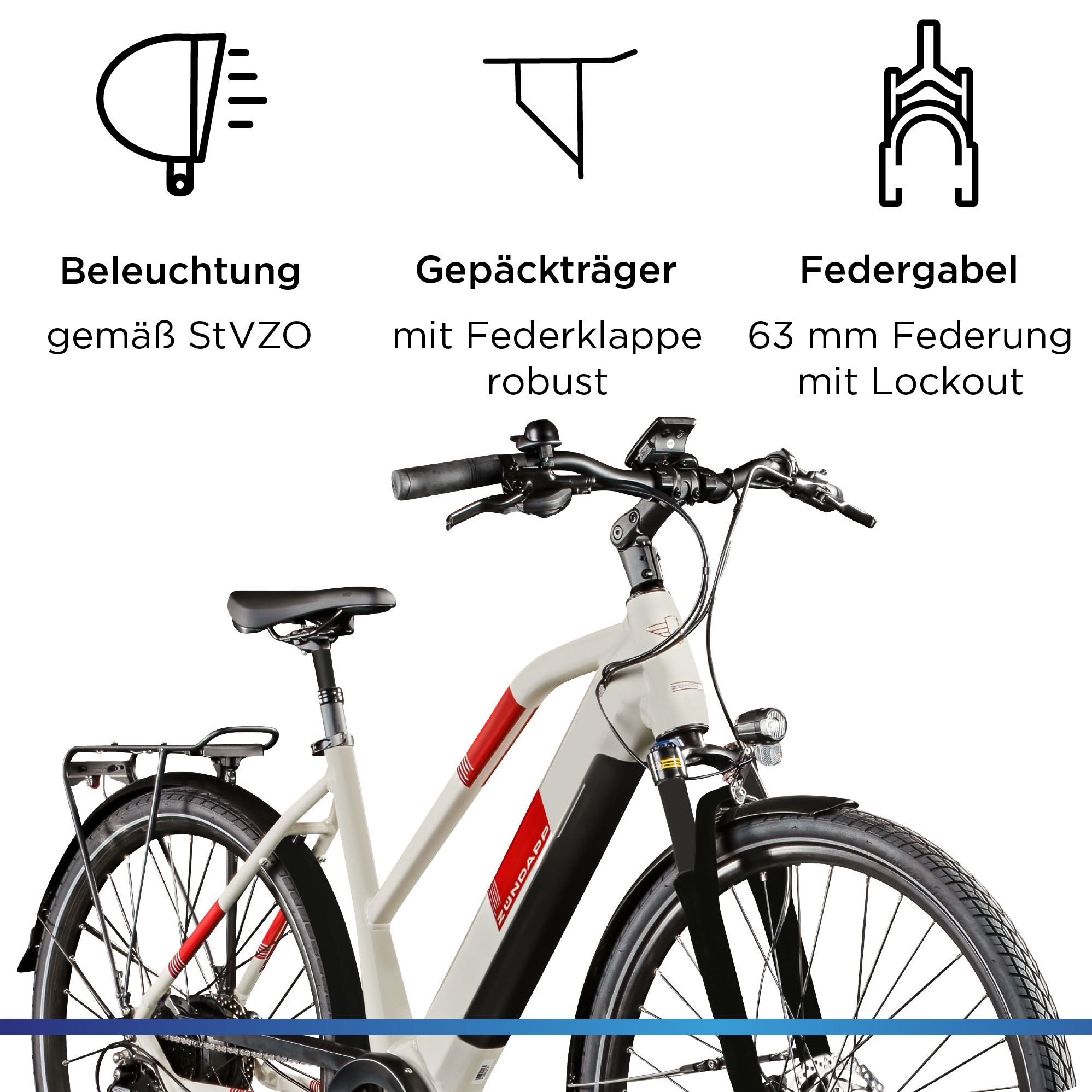 Zündapp E-Bike »Z810«, 8 Gang, Shimano, Altus RD-M310, Heckmotor 250 W