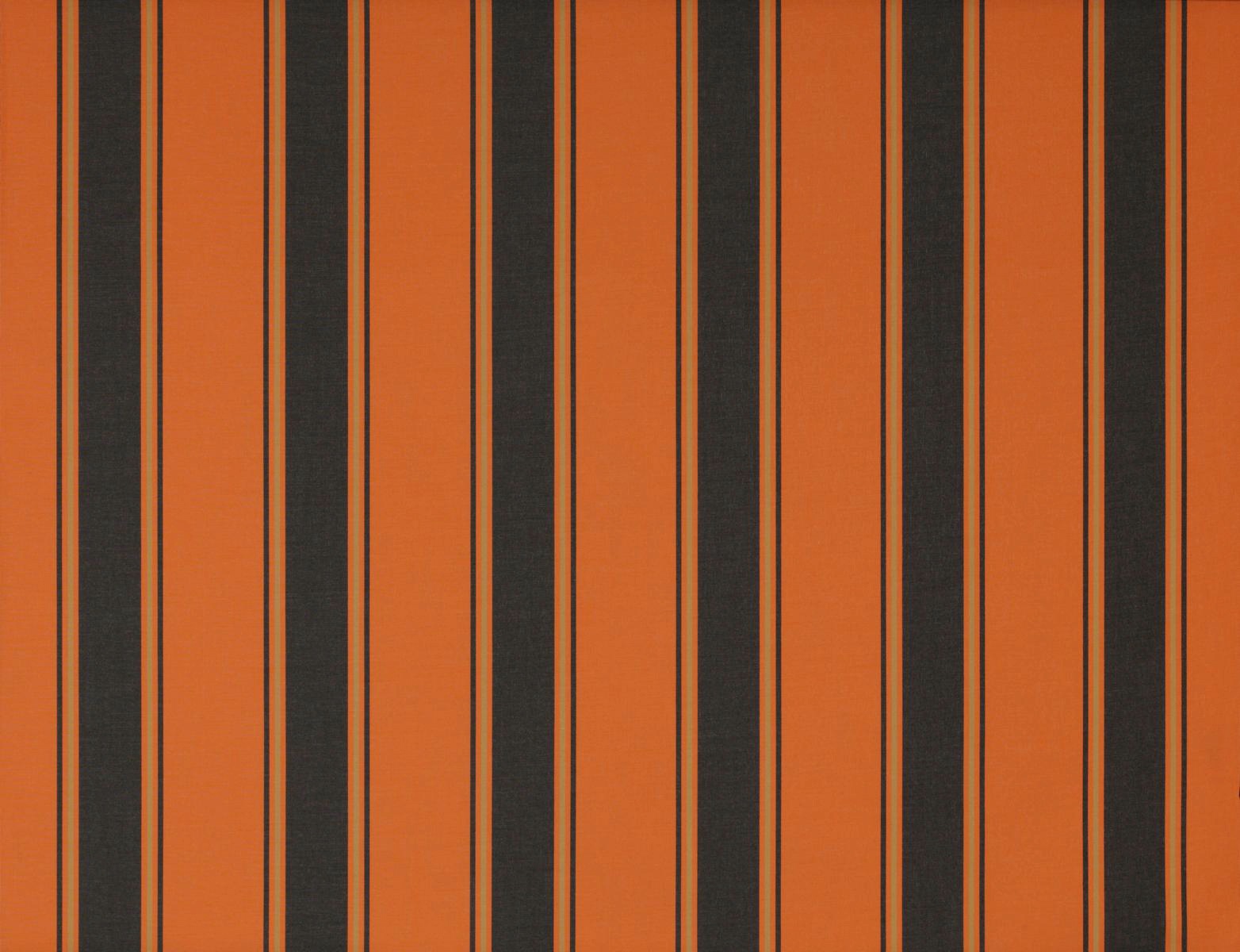 Wismar Kassettenmarkise »Classic S-Compact«, Breite: 500 cm, Ausfall: 250 cm