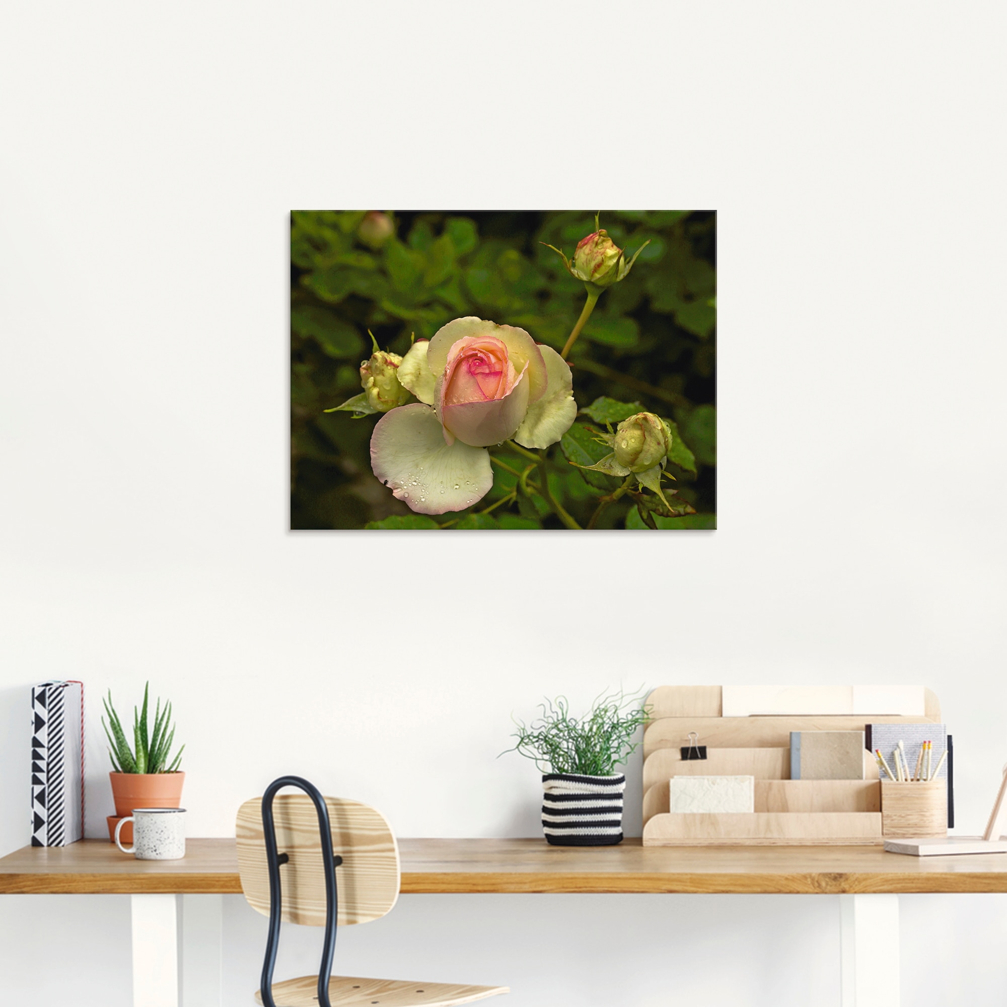 Artland Glasbild »Rosa Rose«, Blumen, (1 St.), in verschiedenen Größen