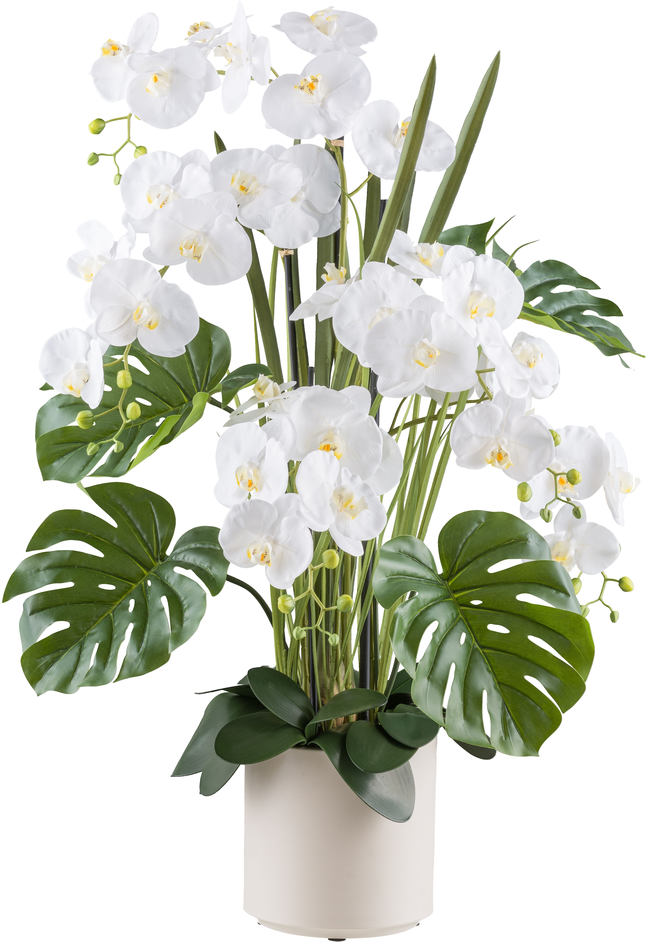 Creativ green Kunstorchidee »Orchidee Phalaenopsis«, mit Gräsern und Splitp günstig online kaufen