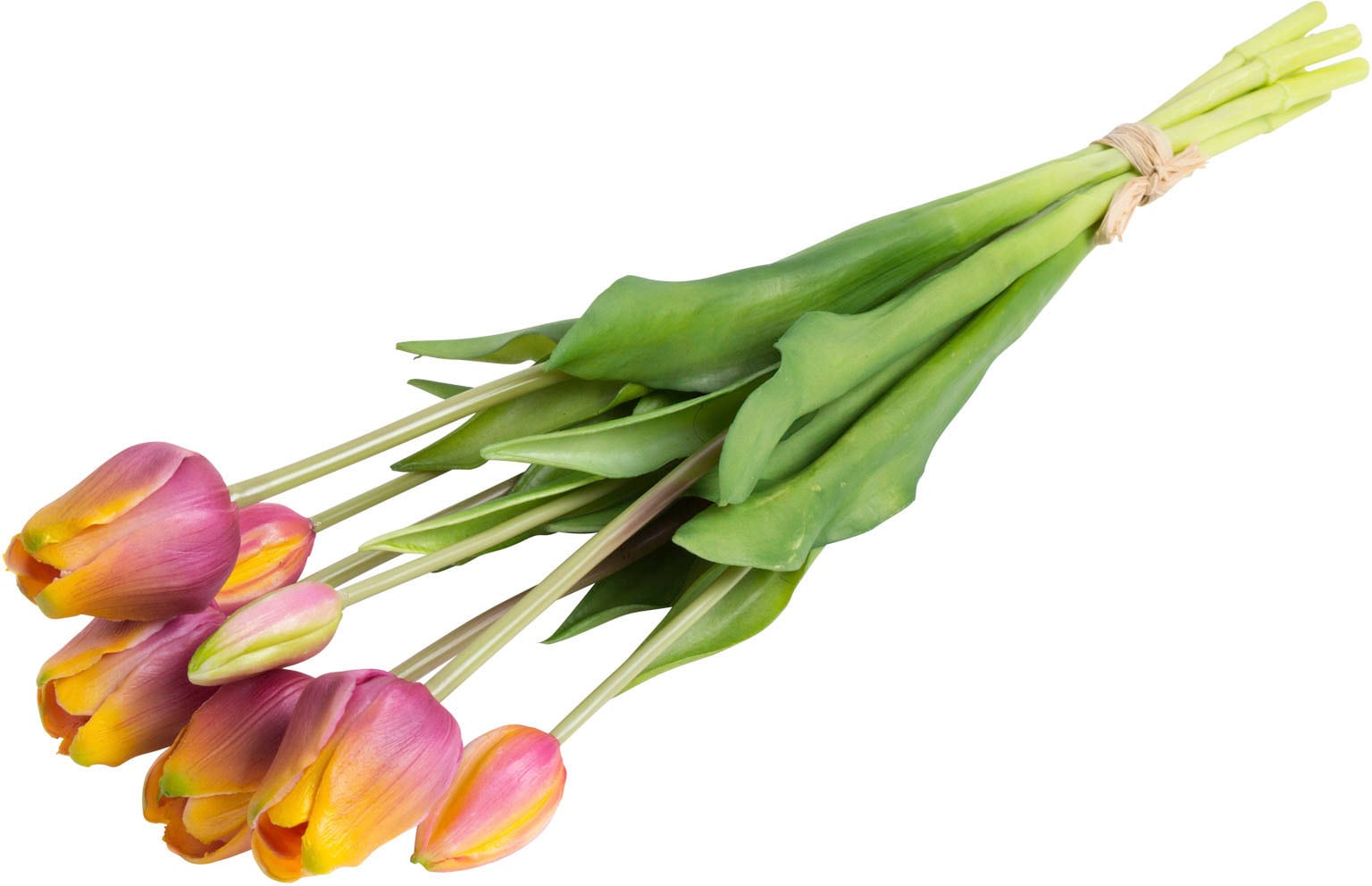 Botanic-Haus Kunstblume »Tulpenbündel real Touch«