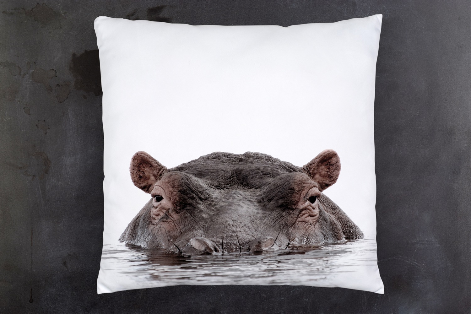 queence Dekokissen »Flußpferd«, Kissenhülle mit HD Premium Druck, geruchsneutral, 40x40cm