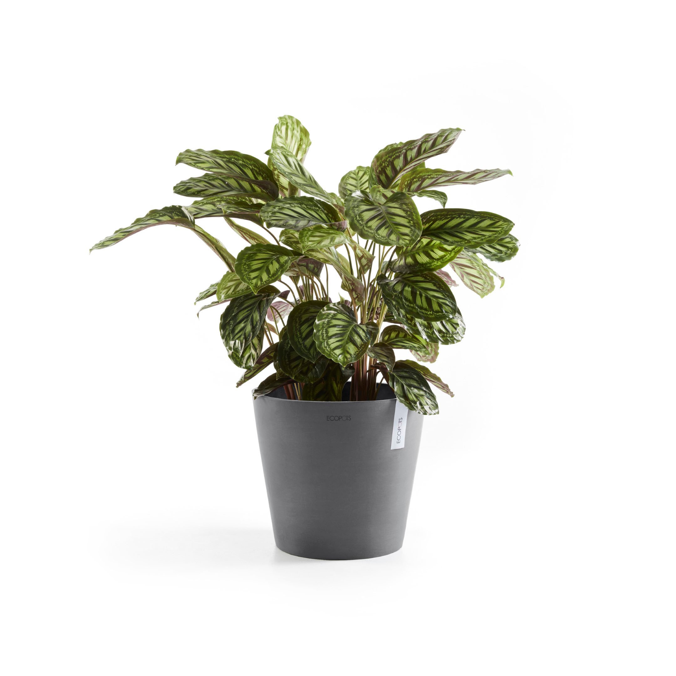 ECOPOTS Blumentopf »Amsterdam«, ØxH: 40x35 cm