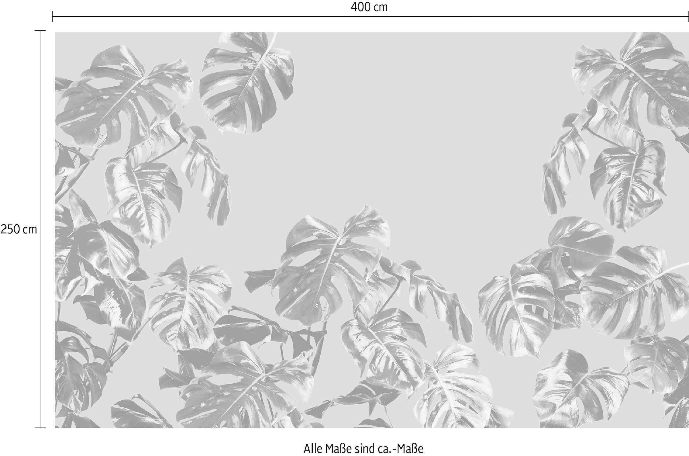 Komar Vliestapete »Digitaldruck Vlies -  Monstera Rosé - Größe 400 x 250 cm« bedruckt glatt Wohnzimmer, Schlafzimmer