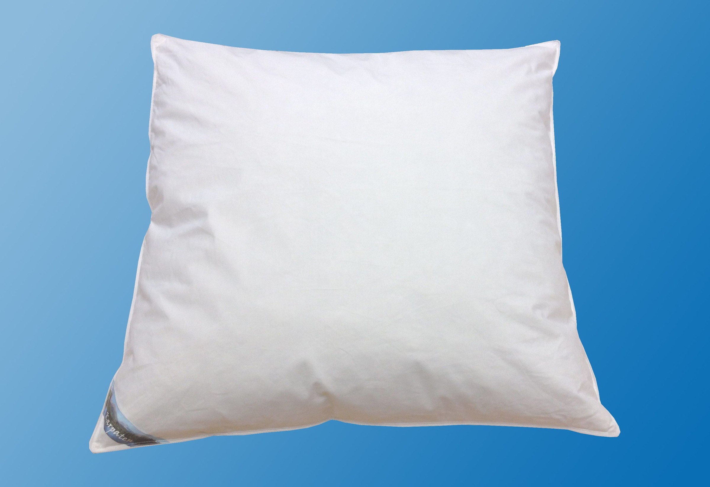 Dreams Federkopfkissen »Karpaten« Füllung: 70% oder 85% Federn 1 Stk. tlg. günstig online kaufen