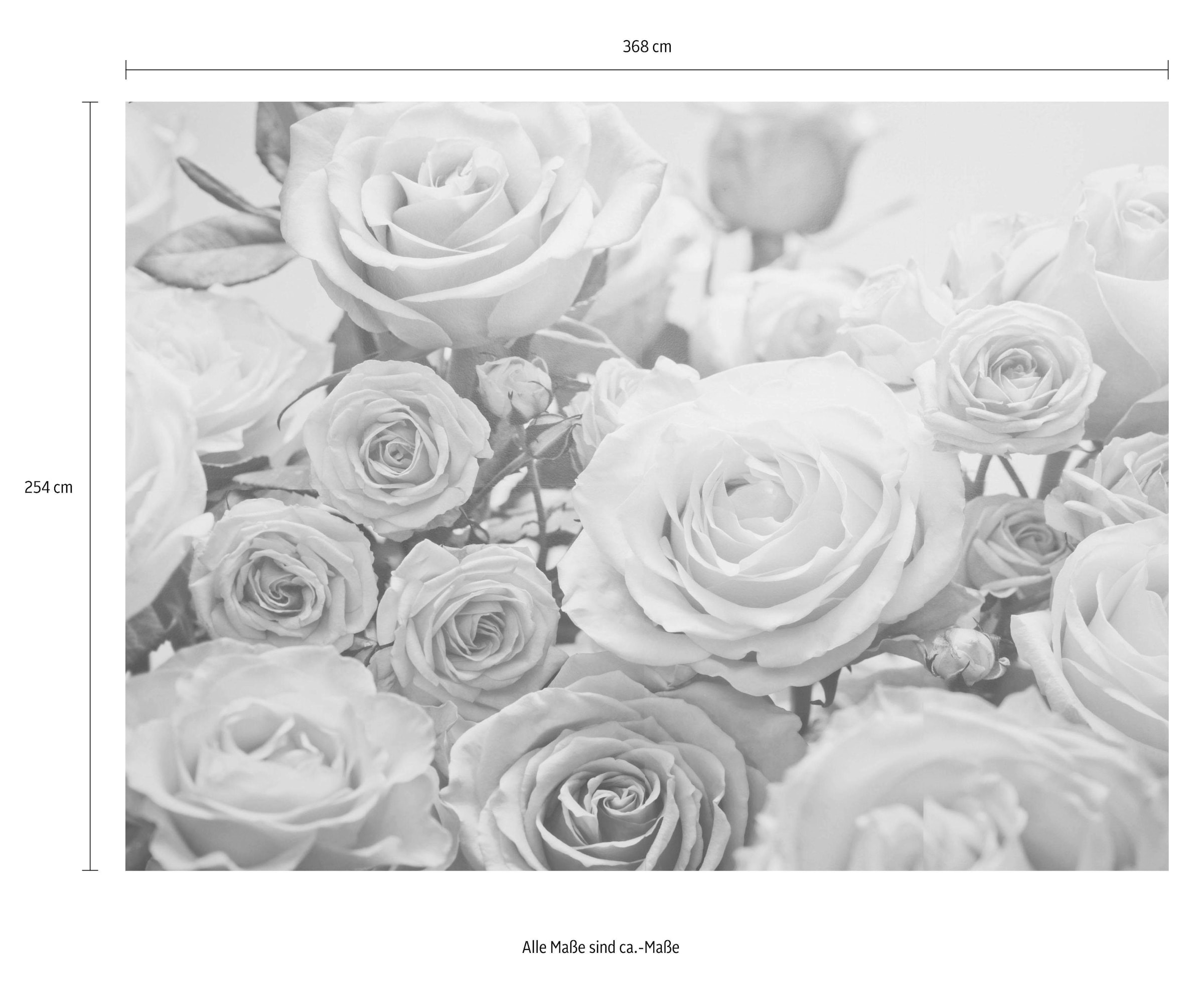 Komar Fototapete »Floraison«, 368x254 cm (Breite x Höhe), inklusive  Kleister online kaufen
